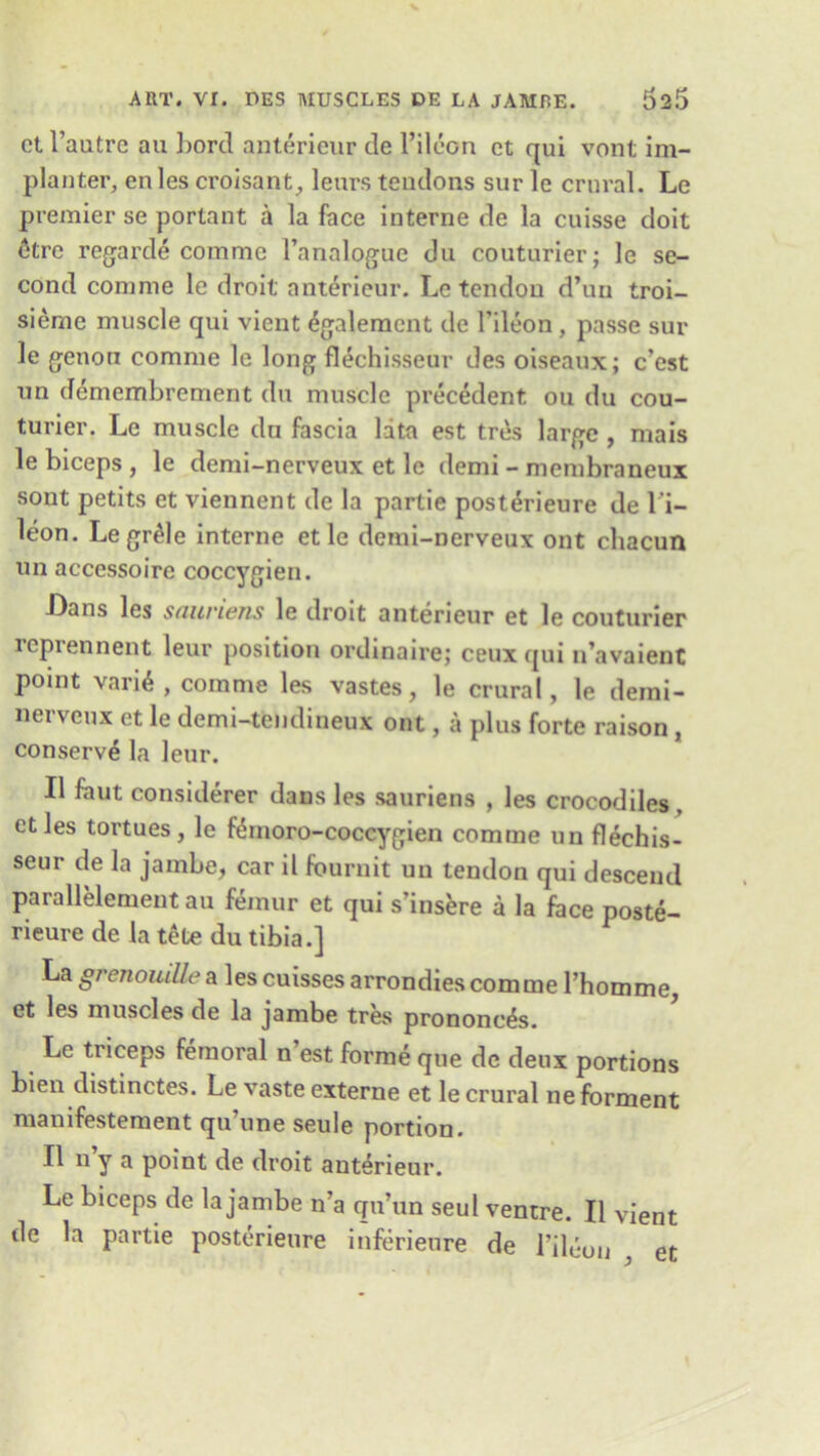 ct l’autre au bord anterieur de l’ilcon ct qui vont im- planter, enles croisant, leurs tendons sur le crural. Le premier se portant a la face interne de la cuisse doit 6tre regarde comme l’analoguc du couturier; le se- cond comme le droit anterieur. Le tendon d’un troi- sierue muscle qui vient <$galement de lileon , passe sur le genoti comme le long flechisseur des oiseaux; c’est un demembrement du muscle precedent ou du cou- turier. Le muscle du fascia lata est tres large , mais le biceps , le demi-nerveux et le demi - membraneux sont petits et viennent de la partie post^rieure de l’i- leon. Legr^le interne etle demi-nerveux out chacun un accessoire coccygien. Dans les sauviens le droit anterieur et le couturier reprennent leur position ordinaire; ceuxqui n’avaient point vari6, comme les vastes, le crural, le demi- nerveux et le demi-tendineux out, a plus forte raison , conserve la leur. II faut considerer dans les sauriens , les crocodiles etles tortues, le fdmoro-coccygien comme un flechis- seur de la jambe, car il fournit un tendon qui descend parallelement au femur et qui s’insere a la face poste- rieure de la tete du tibia.] La grenouiUea les cuissesarrondiescomme l’homme, et les muscles de la jambe tres prononc^s. Le triceps femoral n’est forme que de deux portions bien distinctes. Le vaste externe et le crural neforment manifestement qu’une seule portion. II n y a point de droit anterieur. Le biceps de la jambe n’a qu’un seul ventre. II vient de la partie posterieure inferieure de l’ileou et