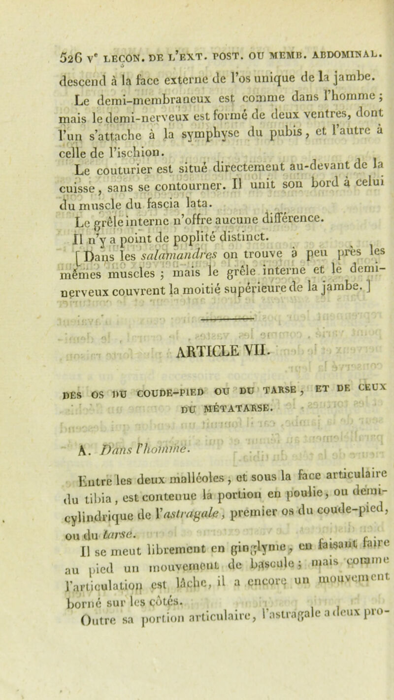 descend a la face externe de l’os unique de la jarnbe. Le dcmi-membraneux est comme dans l’homme; mais le demi-nerveux est forme de deux ventres, dont l’un s’attacbe a la symphysc du pubis, et l’autre a celle de l’ischion. Le couturier est situe directement au-devant de la cuisse, sans se contourner. II unit son bord a celui du muscle du fascia lata. Le prlle interne n’offre aucune difference. II n’y a point de poplite distinct. [Daps les salamanclres on trouve a peu pres les mimes muscles ; mais le grele interne et le demi- nerveux couvrent la moitie superieurede la jarnbe. ] article VII. DES OS DU COUDE—PIED OU DU TARSE , ET DE CEUX DU MET AT ARSE. A. Dans Vhomme. Eutre les deux mallcoles , et sous la face articulaire du tibia, estcontenue la portion en poulie, ou demi- cylindrique de Yastrdgak, premier os du coude-pied, ou du tcirse. , r . II se meut libremcnt en gin-lyme, en faisant lane au pied un mouvemout de bgseule ; mais com me rarticulatioq est Mclic, il a encore un movement borne sur les cotes. Outre sa portion articulaire, l’astragale adeux pro-