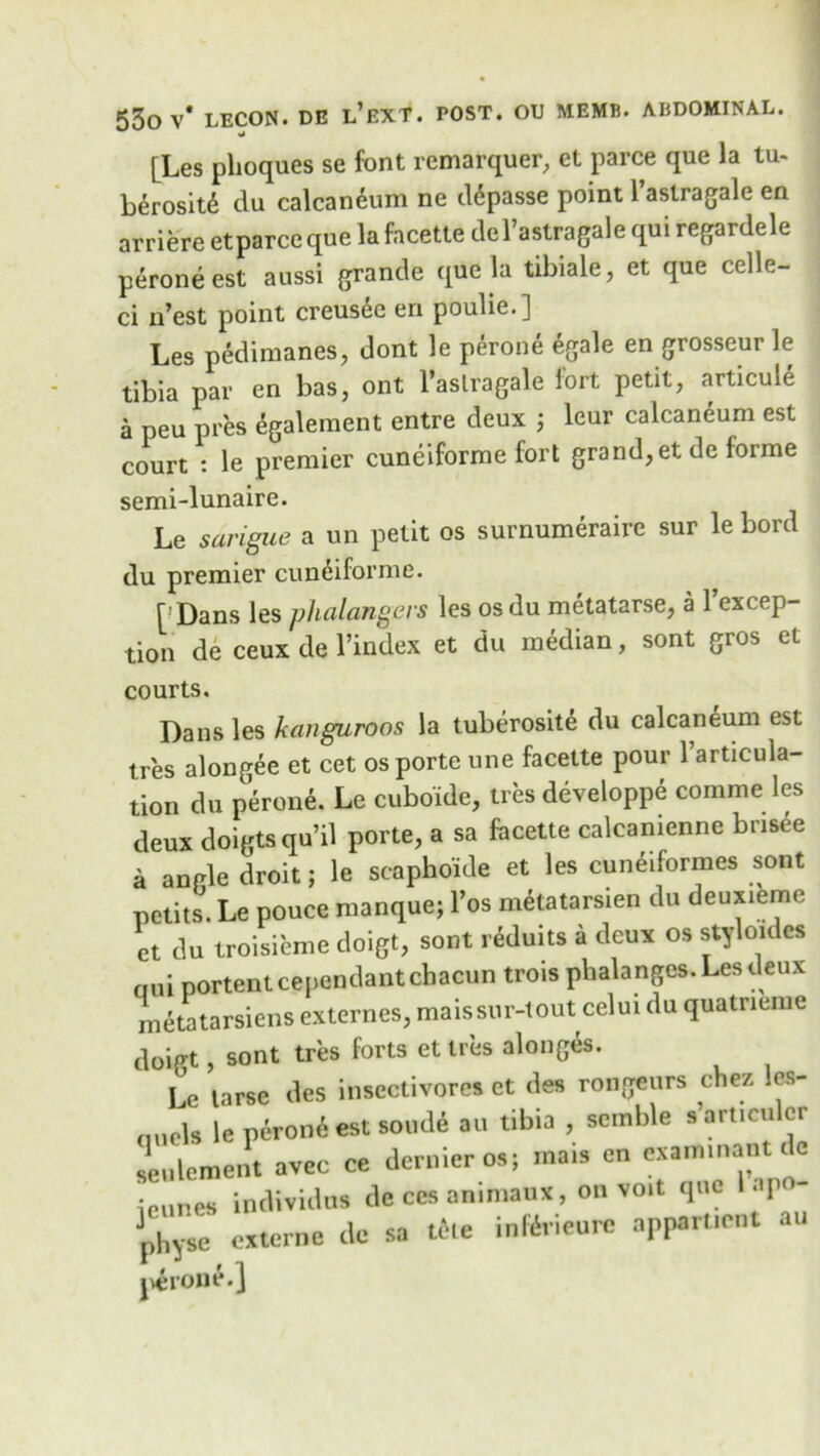 [Les phoques se font remarquer, et parce que la tu- berosity du calcan6um ne d^passe point 1 astragale en arriere etparce que la facette del’astragale qui regardele perone est aussi grande que la tibiale, et que celle- ci n’est point creusye en poulie.] Les pedimanes, dont le perone egale en grosseur le tibia par en bas, ont l’aslragale fort petit, articule a peu pres egalement entre deux ; leur calcaneum est court : le premier cuneiforme fort grand,et de forme semi-lunaire. Le sarigue a un petit os surnumeraire sur le bord du premier cunyiforme. [ Dans les phalangers les os du metatarse, a 1 excep- tion de ceux de l’index et du median, sont gros et courts. Dans les kanguroos la tuberosite du calcaneum est tres alongee et cet os porte une facette pour l’articula- tion du perone. Le cuboide, tres developpe comme les deux doigts qu’il porte, a sa facette calcanienne bnsee a an pie droit; le scaphoide et les cuneiformes sont petits. Le pouce manque; l’os metatarsien du deuxieme et du troisieme doigt, sont r6duits a deux os styloulcs nui portent cependantchacun trois phalanges. Les deux metatarsiens externes, maissur-tout celui du quatneme doigt, sont tres forts et tres alonges. Le tarse des inscctivores et des rongeurs chez !es- quels le py-rony est sonde au tibia , scmble s artieulcr seulement avcc ce dernier os; ma.s en exammant de icunes individus de ccs animaux, on voit que I p physe externe de sa tike inttrieure appart.ent au perone.]