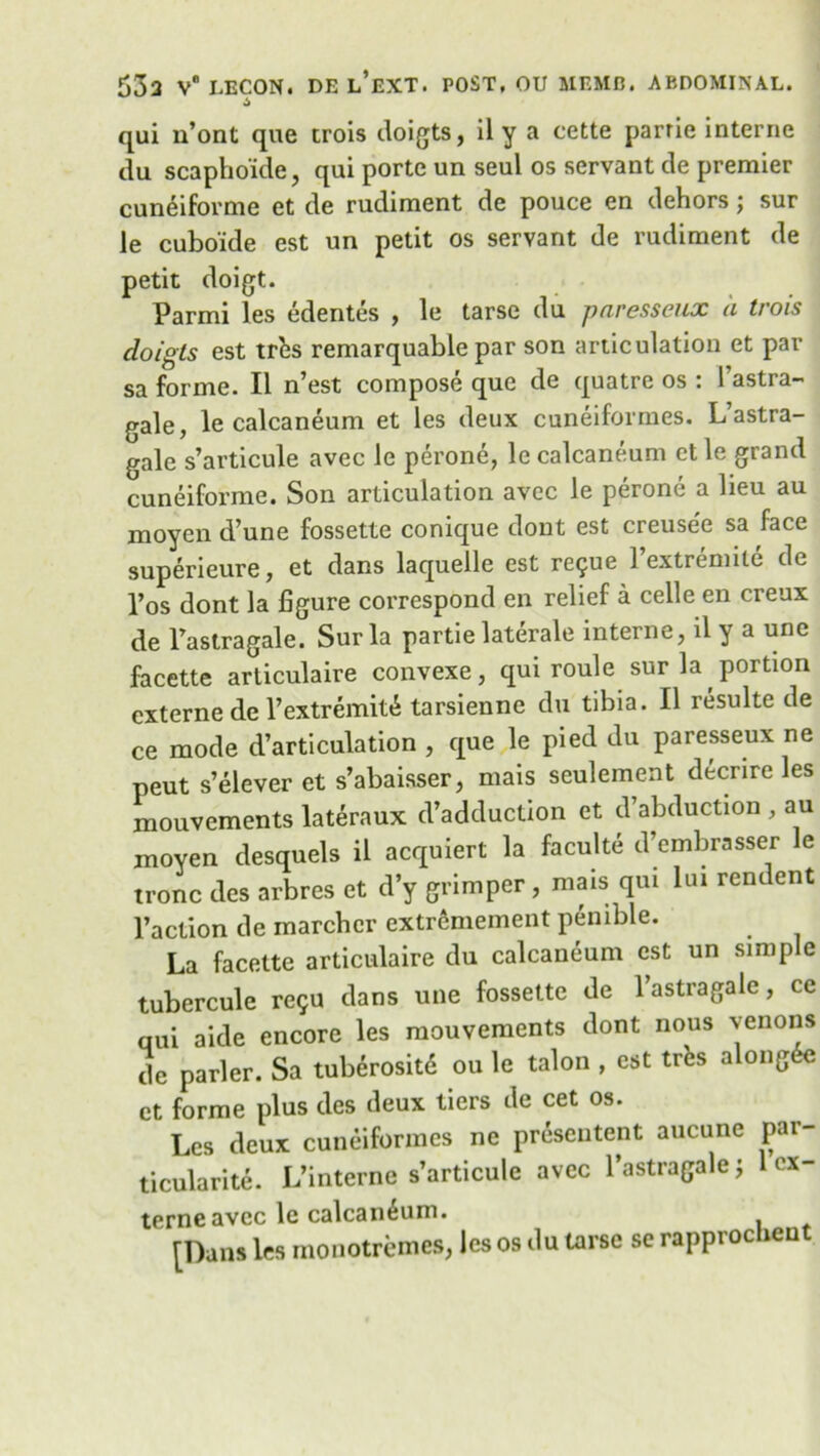qui 11’ont que crois doigts, il y a cette parrie interne du scapho'ide, qui porte un seul os servant de premier cuneiforme et de rudiment de pouce en dehors; sur le cubo'ide est un petit os servant de rudiment de petit doigt. Parmi les edentes , le tarse du paresseux a trois doigts est trfcs remarquable par son articulation et pai- sa forme. II n’est compose que de quatre os : l’astra- gale, le calcaneum et les deux cuneiformes. L’astra- gale s’articule avec le perone, le calcaneum et le grand cuneiforme. Son articulation avec le perone a lieu au moyen d’une fossette conique dont est creuse'e sa face superieure, et dans laquelle est regue l’extremite de l’os dont la figure correspond en relief a celle en creux de Faslragale. Sur la partie laterale interne, il y a une facette arliculaire convexe, qui roule sur la portion externe de l’extremiti tarsienne du tibia. Il resulte de ce mode d’articulation , que le pied du paresseux ne peut s’elever et s’abaisser, mais seulement decrire les mouvements lateraux d’adduction et d’abduction , au moyen desquels il acquiert la faculte d’embrasser le tronc des arbres et d’y grimper , mais qui lui rendent Faction de marcher extremement pemble. La facette articulaire du calcaneum est un simple tubercule regu dans une fossette de l’astragale, ce qui aide encore les mouvements dont nous venons de parler. Sa tuberositd ou le talon , est tres along *c et forme plus des deux tiers de cet os. Les deux cuneiformes ne presented aucune par- ticularite. L’interne s’articule avec Tastragale; 1 ex- terne avec le calcaneum. [Dans les monotremes, les os du tarse se rapprocheut