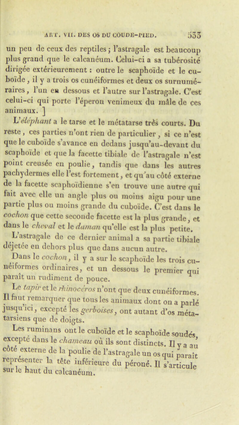 un peu dc ceux des reptiles; l’astragale est beaucoup plus grand que le calcaneum. Celui-ci a sa tuberosite dirigee exterieurement : outre le scaphoide et le cu- boide , il y a trois os cuneiformcs et deux os surnume- raires, Tun ea dessous et l’autre sur l’astragale. C’est celui-ci qui porte l’eperon venimeux du mdle de ces animaux. ] L'elephant a le tarse et le metatarse tr£s courts. Du reste , ces parties n’ont rien de parliculier , si ce n’est que le cuboide s avance en dedans jusqu’au-devant du scaphoide et que la facettc tibiale dc l’astragale n’est point creus^e en poulie, tandis que dans les autres pachydermes elle lest fortement, et qu’au c6t£ externe de la facette scaphoidienne s’en trouve une autre qui fait avec elle un angle plus ou moins aigu pour une partie plus ou moins grande du cuboide. C'est dans le cochon que cette seconde facette est la plus grande, et dans le cheval et le daman qu’elle est la plus petite. L’astragale de ce dernier animal a sa partie tibiale dej etee en dehors plus que dans aucun autre. Dans le cochon, il y a sur le scaphoide les trois cu- neiformes ordinaires, et un dessous le premier qui parait un rudiment de pouce. Le tapir et le rhinoceros n’ont que deux cuneiformes. Il faut remarquer que tousles animaux dont on a parle jusquici, excepte les gerboises} ont autant d’os meta- tarsiens que de doigts. Les ruminans out le cuboide et le scaphoide soudes excepte dans le chameau ou ils sont distincts. Il y a au cote externe de la poulie de l’astragale un os qui parait representer la rtte mferieure du perone. Il s’arficule sui 1c haut du calcaneum.