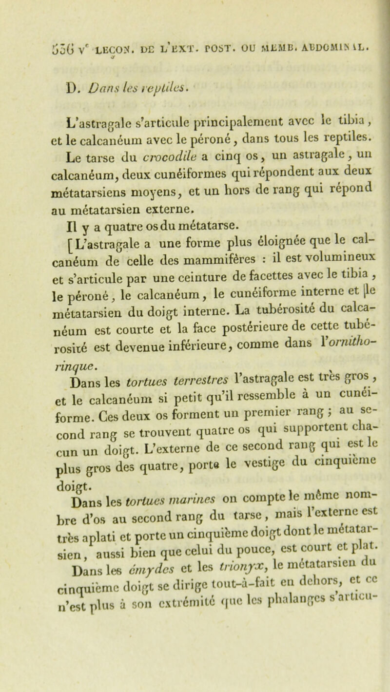 or D. Dans les rep Liles. L’astragale s’articule principaleraent avee 1c tibia , et le calcaneum avec le perone, clans tous les reptiles. Le tarse du crocodile a cinq os, un astragale, un calcaneum, deux cundiformes quirepondent aux deux metatarsiens moyens, et un hors de rang qui repond au metatarsien externe. II y a quatre osdumetatarse. [L’astragale a une forme plus eloignee que le cal- candum de celle des mammifdres : il est volumineux et s’articule par une ceinture de facettes avec le tibia , le perone, le calcaneum, le cuneiforme interne et |le metatarsien du doigt interne. La tuberosite du calca- neum est courte et la face postdrieure de cette tubc- rosiid est devenue inferieure, comme dans Yornitho- rinque. Dans les tortues terrestres l’astragale est tres gros , et le calcaneum si petit qu’il rcssemble a un cunei- forme. Ces deux os forment un premier rang ; au se- cond rang se trouvent quatre os qui supportent cha- cun un doigt. L’externe de ce second rang qui est le plus gros des quatre, porta le vestige du cinquieine Dans les tortues marines on compte le mdme nom- bre d’os au second rang du tarse, mais 1’externc est trfes aplati et portc un cinquieme doigt dont le metatar- sien , aussi bien que celui du pouce, est court et plat. Dans les cmydes et les trionyx, le metatarsien c u cinquieme doigt se dirige tout-a-fait en dehors, et ce n’est plus a son cxtrdmitd cfuc les phalanges s articu-