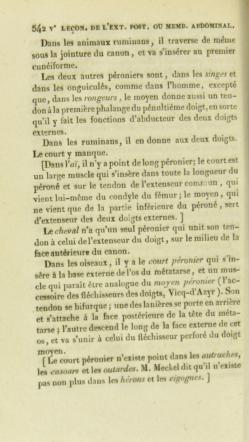 Dans les animaux ruminanB, il traverse de meme sous la jointure du canon, et va s’inserer au premier cuneiforme. Les deux autres peroniers sont, dans les singes et dans les onguicul£s, commc dans l’homme, excepte que, dans les rongeurs , le moyen donne aussi un ten- don ala premiere phalange du penultieme doigt, en sorte qu’il y fait les fonctions d’abducteur dcs deux doigts externes. Dans les ruminans, il en donne aux deux doigts. Le court y manque. [Dans Yai, il n’y a point de long peronier; le court est un large muscle qui s’insere dans toute la longueur du perone et sur le tendon de l’extenseur commun , qui vient lui-meme du condyle du femur; le moyen, qui ne vient que de la partie inferieure du perone , sert d’extenseur des deux doigts externes. ] Le cheval n’a qu’un seul peronier qui unit son ten- don a celui de l’extenseur du doigt, sur le milieu de la faceant^rieure du canon. Dans les oiseaux, il y a le court peronier qui s in- sure a la base externe del’os du metatarse, et un mus- cle qui parait etre analogue du moyen peronier (1 ac- cessoire des fl6cliisseurs des doigts, Vicq-d Azyr ). bon tendon se bifurquc ; une des lanieres se portc cn arnere et s’attache a la face postericure de la tete du meta- tarse : l’aulre descend le long de la face externe de cet os, et va s’unir a cclui du fUchisseur perfore du doigt T^c court pdronier n’existe point dans les autmches, le, casoars etlea oulardes. M. Meckel dit qu d nex.ste pas non plus dans les herons ct les cigognes. ]