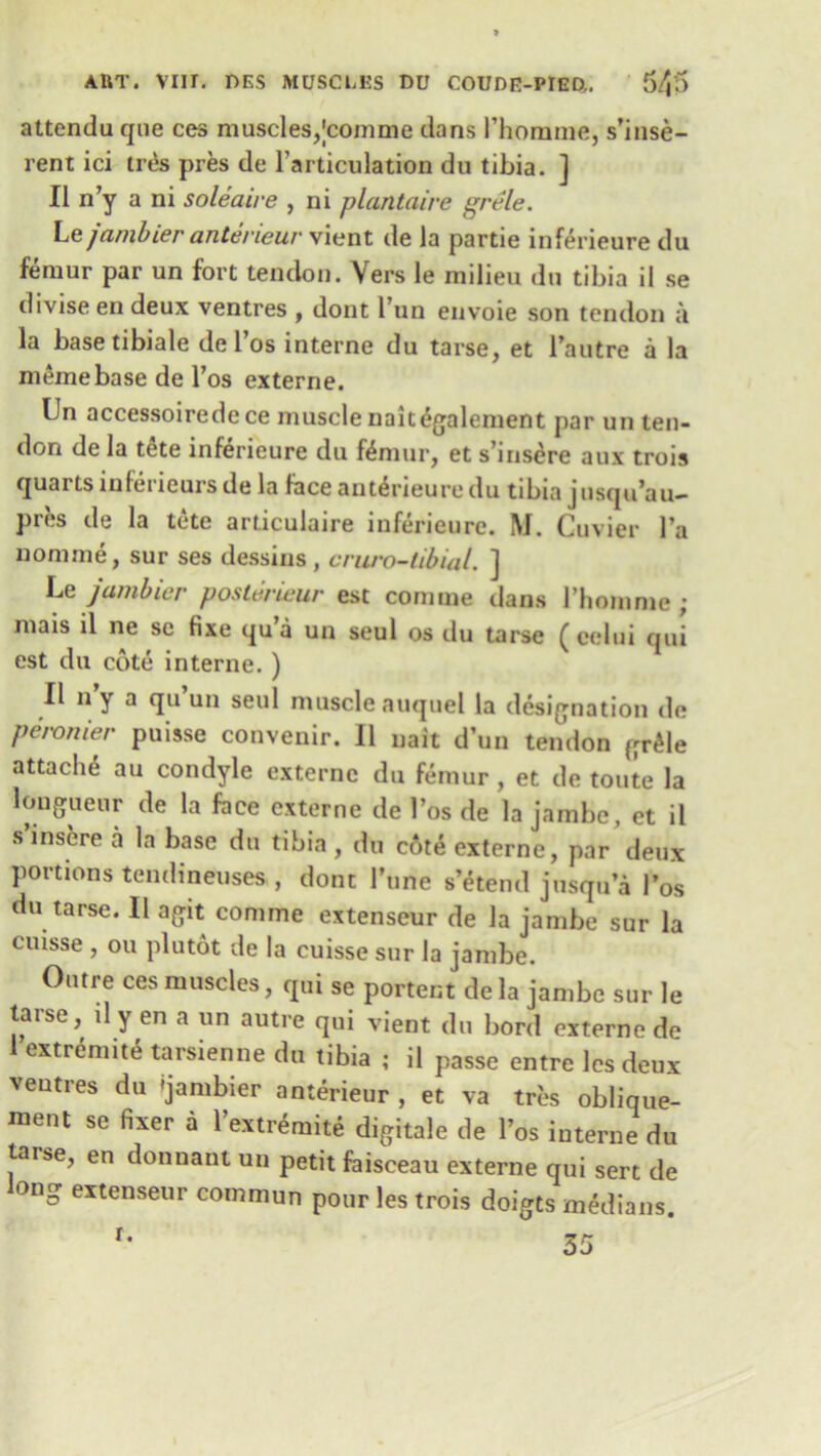 attendu que ces muscles,Jcomme dans I’homme, s’inse- rent ici ties pres de l’articulation du tibia. ] II n’y a ni soleaire , ni plantaire grele. Le^anibier anteneuv vient de la partie inferieure du femur par un fort tendon. Yers le milieu du tibia il se divise en deux ventres , dont Pun envoie son tendon a la basetibiale de l’os interne du tarse, et l’autre a la memebasede l’os externe. Un accessoiredece muscle naitegalement par un ten- don de la tete inferieure du femur, et s’insere aux trois quarts inferieurs de la faceanterieuredu tibia jusqu’au- pres de la tete articulaire inferieure. M. Cuvier l’a nomme, sur ses dessins , cruro-libial. ] Le jambier poslerieur est coniine dans I’homme ; mais il ne sc fixe qu a un seul os du tarse ( eelui qui est du cote interne. ) Il 11 Y a qu’un seul muscle auquel la designation de peronier puisse convenir. Il nait dun tendon gr^le attaclfe au condyle externe du femur, et de toute la longueur de la face externe de 1’os de la jambe, et il s insere a la base du tibia , du cote externe, par deux portions tendineuses , dont Tune s’etend jusqu’a l’os du tarse. Il agit comme extenseur de la jambe sur la cuisse , ou plutot de la cuisse sur la jambe. Outre ces muscles, qui se portent de la jambe sur le tarse, d y en a un autre qui vient du bord externe de extremite tarsienne du tibia ; il passe entre lcs deux ventres du ‘jambier anterieur , et va trts oblique- ment se fixer a l’extr^mite digitale de l’os interne du tarse, en donnant un petit faisceau externe qui sert de ong extenseur commun pour les trois doigts medians.