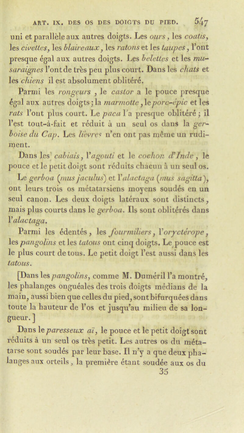 uni etparalleleaux autres doigts. Les ours, lcs coatis, les civettes, les blaireaux, les ratons et les taupes, l’ont presque egal aux autres doigts. Les belettes et les mu- saraignes l’ontde tres peu plus court. Dans les chats et les chiens il est absolument oblitet’6. Parmi les rongeurs , le castor a le pouce presque £gal aux autres doigts; la marmotte,leporc-epic et les rats l’ont plus court. Le paca l a presque oblitere ; il l’est tout-a-fait et reduit a un seul os dans la ger- boise du Cap. Les lievres n’en ont pas mdme un rudi- ment. Dans les cabiais, 1'agouti et le cochon d'Tnde, le pouce et le petit doigt sont reduits chacun a un seul os. Le gerboa (runs jacid us) et X alactaga (nius sagitta), ont lours trois os metatarsiens moyens soud£s en un seul canon. Les deux doigts lateraux sont distincts, mais plus courts dans le gerboa. Ils sont oblit6res dans X alactaga. Parmi les edentes , les fourmiliers, Xorycterope, les pangolins et les tatous ont cinq doigts. Le pouce est le plus court detous. Le petit doigt Test aussi dans les tatous. [Dans les pangolins, comme M. Dumeril l’a montr£, les phalanges ongueales des trois doigts medians de la main, aussi bien que celles du pied,sontbifurquees dans toute la hauteur de l’os et jusqu’au milieu de sa lon- gueur. ] Dans le paresseux ai, le pouce et le petit doigt sont reduits a un seul os tres petit. Les autres os du meta- tarse sont soudes par leur base. Il n’y a que deux pha- langes aux orteils, la premiere etant soudee aux os du 35