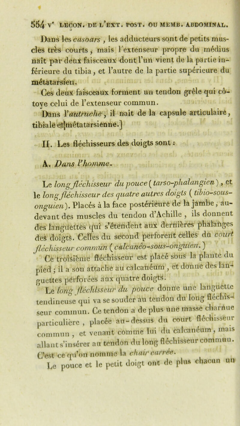 Dans les eels oars , les adducteurs sont de petits mus- cles tres courts, mais l'extenseur propre du rnedius nait par deux faisceaux dont l’un vient de la partie in- ferieure du tibia, et l’autre de la partie sup^rieure du metatarsien. Ces deux faisceaux forment un tendon grele qui co- toye celui de l’extenseur commun. Dans Yautruche, il nait de la capsule articulaire, tibiale etjmetatarsienne.] II. Les flechisseurs des doigts sont: A. Dans I’homme. Le longJlechisseur du pouce (tarso-phalangien), et le long Jlechisseur des cpiatre autres doigls (tibio-sous- onguien). Places a la face posterieure de la jambe, au- devant des muscles du tendon d Achille , ils donnent des languettes qui s’etendent aux demises phalanges des doigts. Getles du second perforent cedes du court jlechisseur commun ( calcaneo-sous-onguie.n.) Ce troisieme ftechisseur est plate sbus la pi ante du pied ; il a sou attache au calcandum , et donne des lan- guettes ptrforees aux (juatre doigts. Le long flechisseur du pouce donne unc languetlc teudineuse qui va sesouder au tendon du long flechis- seur commun. Ce tendon a de plus une masse charAue particulierc , placee au-dess«is du court fldchissfeur commun , et venant comme lui du calcaneum , mais allauts’inserer au tendon dulong flechisseur commun. C’est ce qu’on nomine la chair carree. Le pouce et le petit doigt ont de plus chacun un