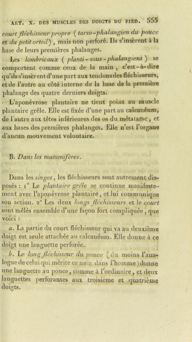 court flechisseur propre ( tarso-p/inlangien du police et du petit orteil) , mais non perfore. Ils s’inserent a la base de leurs premieres phalanges. Les lornbricaux ( planit - sous - phalangiens ) se comportent comme ceux de la main , c’est-a-dire qu’ilss’inserent d’une part aux tendonsdes flechisseurs, etde l’autre au cote interne de la base de la premiere phalange des quatre derniers doigts. L’apon^vrose plantaire ne tient point au muscle plantaire grele. Elle est fix^e d’une part au calcan^um, de l'autre aux tetes inferieures des os du metatarse, ct aux bases des premieres phalanges. Elle u’est l’organe d’aucun mouvement voloutaire. B. Dans les mammiferes. Dans les singes, les flechisseurs sent autrement dis- poses : i° Le plantaire grele se continue manifeste- merit avec l’aponevrose plantaire, et lui communique son action. 2° Les deux longs flechisseurs et le court sont. rubles ensemble d’une fafon fort compliquee , que void : a. La partie du court flechisseur qui va au deuxieme doigt est seule attach4e au calcaneum. Elle donne a ce doigt une languette perforee. h. Le long flechisseur du pouce (du moins i’ana- logue de celuiqui merite ce no n dans l’homme)donne une languette au pouce, comme a l’ordinaire , et deux languettes perforantes aux troisieme et quatrieme doigts.