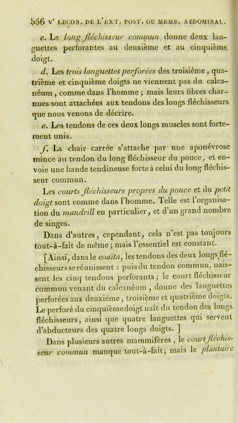 •J * c. Le long Jlcchiss cur compuui donne deux lan- guettes perforantes au deuxiemc et aa cinquieme doigt. d. Les trois langueLtes perforees des troisieme, qua- trieme et cinquieme doigts ne viennent pas du calca- neum, comme dans Thomrae ; mais leurs fibres char- nues sont attachees aux tendons des longs flechisseurs que nous venons de decrire. e. Les tendons de ces deux longs muscles sont forte- ment unis. f. La chair carree s’attache par une aponevrose mince au tendon du long flechisseur du pouce, el en- voie une bande tendineuse forteacelui du long flechis- seur commun. Les courts jlcclusseurs propres du police et du petit doigt sont comme dans l’homme. Telle est l’organisa- tion du mandrill en particulier, et d un grand nombre de singes. Dans d’autres, cependant, cela n est pas toujouis tout-a-fait de meme ; mais l’essentiel est constant. [Ainsi, dansle coaila, les tendons des deux longsfle- chisseurssereunissent : puisdu tendon commun, nais- scnt les cinq tendons perforants j le court flechisseui commun venant du calcaneum , donne des languettcs performs aux deuxiemc, troisieme et quatrieme doigts. Le pcrfore du cinquiemedoigt nait du tendon des longs flechisseurs, ainsi que quatre langueltes qui servent d’abducteurs des quatre longs doigts. ] Dans plusieurs autres mammiferes , le courtjlcchis- scur commun manque tout-a-faitj mais lc planlauc