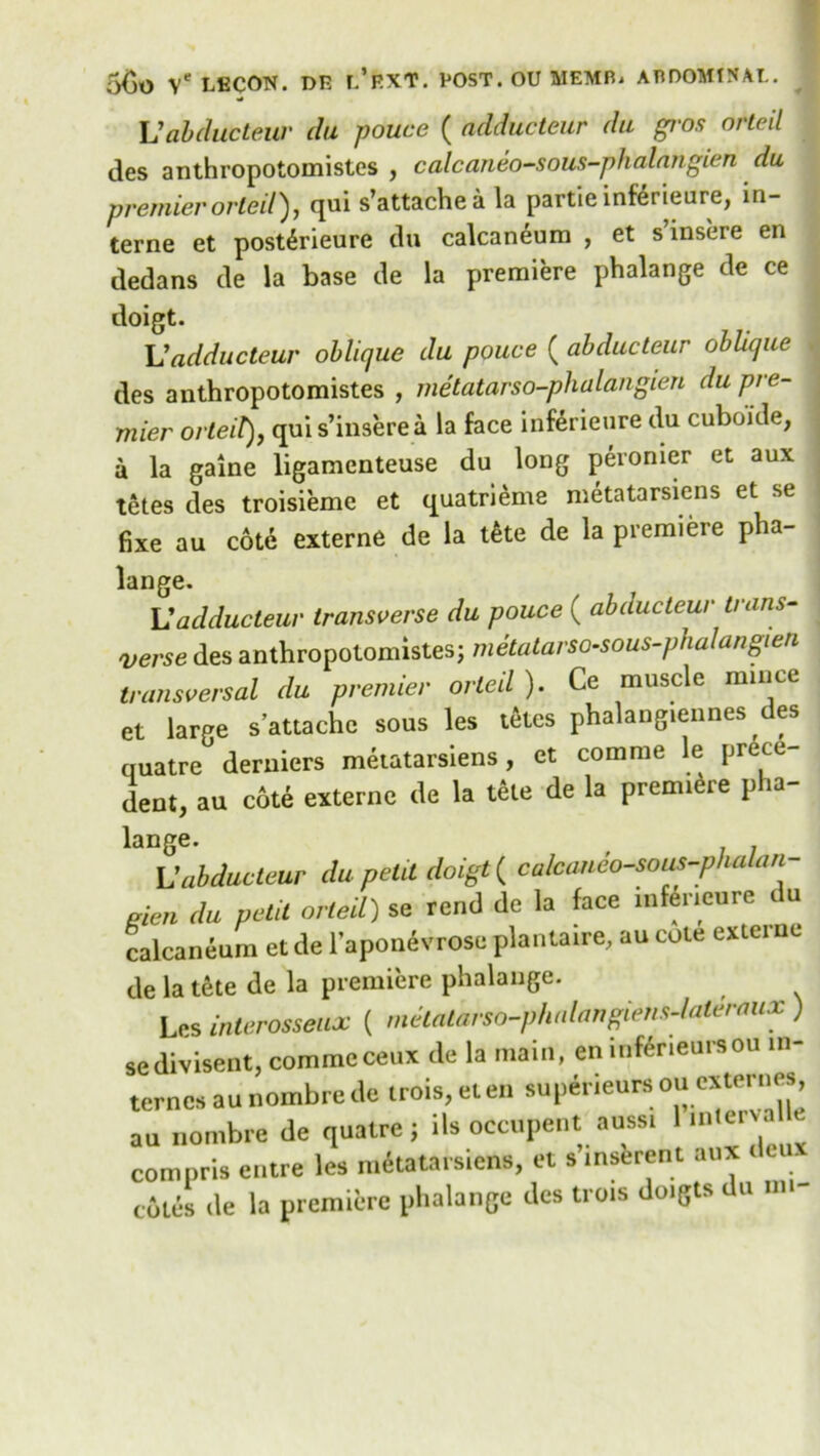 V abducteur da pouce ( adducteur du gros orteil des anthropotomistes , calcaneo-sous-phalangien du premier orteil), qui s’attachea la partie inferieure, In- terne et post^rieure du calcaneum , et s insere en dedans de la base de la premiere phalange de ce doigt. L'adducteur oblique du pouce ( abducteur oblique , des anthropotomistes , metatarso-phalangien du pre- mier orteil), quis’inserea la face inferieure du cubokle, a la gaine ligamenteuse du long peronier et aux tetes des troisieme et quatrieme metatarsiens et se fixe au cote externe de la tete de la premiere pha- lange. Vadducteur transverse du pouce ( abducteur trans- verse des anthropotomistes; metalarso-sous-phalangten transversal du premier orteil ). Ce muscle mince et large s’attachc sous les teles phalangiennes des quatre deruiers metatarsiens, et comme le prece- dent, au cote externe de la tete de la premie pha- lange. , , 7 Vabducteur du petit doigt ( calcaneo-sous-phalan- gien du pent orteil) se rend de la face inferieure du calcaneum et de lapomivrosc planta.re, au cote exte. ne de la tete de la premiere phalange. Les interosseux ( metalarso-phalangiens-laleraux) sedivisent, comme ceux de la main, en inter,eurson in- ternes aunombrede trois, eten supeneurs ou extmies, au nornbre de quatre; ils occupent aussi interva e compris entre les metatarsiens, et s’inserent aux deux cotes de la premiere phalange des trois doigts du m