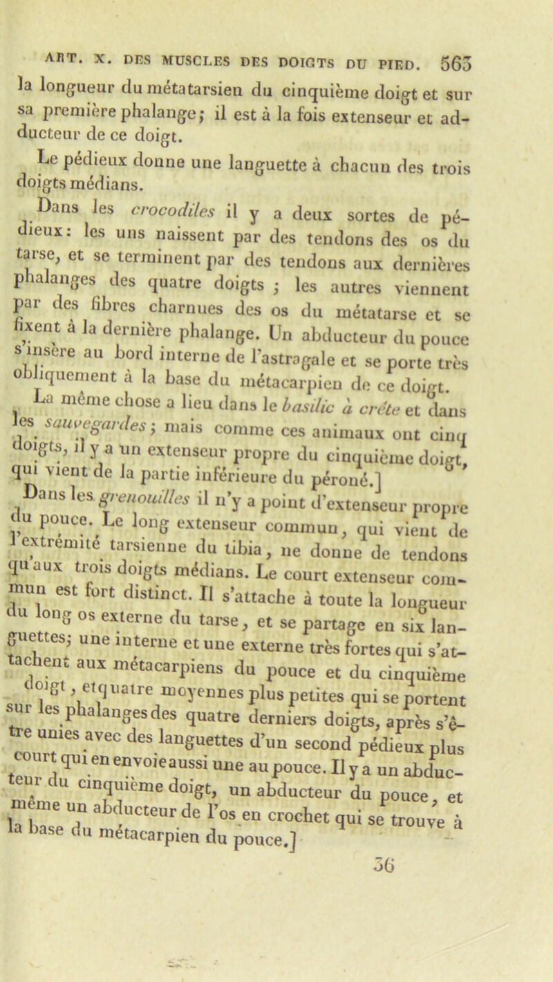 la longueur du metatarsien du cinquieme doigt et sur sa premiere phalange; il est a la fois extenseur et ad- ducteur de ce doigt. Le pedieux doune une lauguette a chacun des trois doigts medians. Dans Jes crocodiles il y a deux sortes de pe- dieux: les uns naissent par des tendons des os du tarse, et se terminent par des tendons aux dernieres phalanges des quatre doigts ; les autres viennent par des fibres charnues des os du metatarse et se lixent a la demise phalange. Un abducteur du pouce s insere au bord interne de l’astragale et se porte tres obhquement a la base du metacarpien de ce doigt. La meme chose a lieu dans le basilic a Crete et dans les sauvegardes; mats coniine ces animaux out cinq a°l^d 11 ^a un e*ten*eur propre du cinquieme doigt, qui vient de la partie inferieure du peroneal ans It s gt en owl les il n y a point d’extenscur propre v p0.UCe- Le ]on8 extenseur commuu, qui vient de 1 extrenme * tarsienne du tibia, ne donne de tendons quaux trois doigts medians. Le court extenseur com- mun est fort distinct. Il s’attache a toute la longueur °S eXterne du tarse> et se parage en six lan- guettesj une interne ct une externe tres fortes qui s’at- tachent aux metacarpiens du pouce et du cinquieme 5 e1fJlialre doyennes plus petites qui se portent ui les phalanges des quatre derniers doigts, apres s’e- 16 Umes avec des ^anguettes d’un second pedieux plus court qm en envoieaussi une au pouce. Il y a un abduc- T du cinquieme doigt, un abducteur du pouce et n.-e un abducteur de 1’os eu crochet qui s! “uv'e la base du metacarpien du pouce.] 36