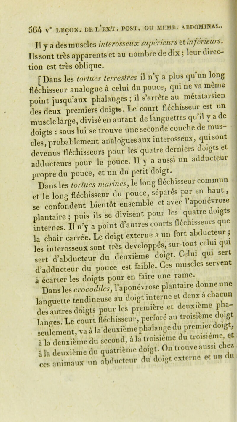 II y a des muscles interosseux supcrieurs et infeneurs. Ilssont tres apparents ct au nombre de dix j lcur direc- tion est tres oblique. [Dans les tortucs tetrestres il n y a plus qu’un long flechisseur analogue a celui du pouce, qui ne va mcme point iusqu’aux phalanges ; il s’arrete au metatarsien des deux premiers doigte. Le court flechisseur est un muscle large, divise enautant de languettes qu 1 } a e doigts : sous lui se trouve une seconde couche de mus- cles, probablement analoguesaux interosseux, quisont devenus flechisseurs pour les quatre dcrniers doigts et adducteurs pour le pouce. Il y a aussi un adducteur propre du pouce, et un du petit doigt. Dans les tortues marines, le long flechisseur common et le long flechisseur du pouce, sepals par en haut, se confondent bientot ensemble et avec 1 aponevrose plantaire ; puis ik sc divisent pour les quatre doig s internes. Il n’y a point d’autres courts flechisseurs que la chair carree. Le doigt externe a un fort abducteur, les interosseux sent tres developpis. sur-tout celui qui sert d’abducteur du deuxieme doigt. Celui q d’adducteur du pouce est faible. Ces muscles servent a ecarter les doigts pour en faire une rame. Da us les crocodiles, l’aponevrose plantaire donne une lanpuctte tendineuse au doigt interne et deux a cliacun des autres doigts pour les preiniiire er deuxieme pha- langes. Le court flechisseur, perfore au troisu.me i g seufement, vaala deuxieme phalange du premier doig Th cWme du second, a la troisifmc du trcsieme et • h deuxieme du quatrieme doigt. On trouve aussi diet. Js—unaWteurdn doigtexterneetundu