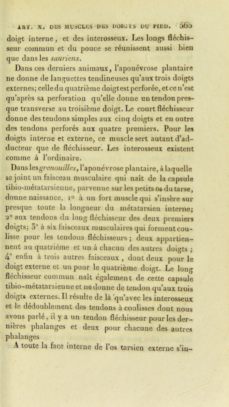 doigt interne, et des interosseux. Les longs flechis- seur comniun et du pouce se reunissent aussi bien que dans les sauriens. Dans ces derniers animaux, l’aponevrose plantaire lie donne de langucttes tendineuses qu’aux trois doigts externes; celle du quatrieme doigt est perforce, etce n’est qu’apres sa perforation qu’elle donne un tendon pres- que transverse au troisieme doigt. Le court flechisseur donne des tendons simples aux cinq doigts et en outre des tendons perfores aux quatre premiers. Pour les doigts interne et extcrne, ce muscle sert autant d’ad- ducteur que de flechisseur. Les iuterosseux existent comme a l’ordinaire. Dans lesgrcnouilles, l’aponevrosc plantaire, a laquelle se joint un faisceau musculaire qui nait de la capsule tibio-metatarsienue, parvenue sur les petits os dutarse, donne naissance, i° a un fort muscle qui s’insere sur presque toute la longueur du metatarsien interne; 2° aux tendons du long flechisseur des deux premiers doigts; 5° a six faisceaux musculaires qui formentcou- lisse pour les tendons fl^chisseurs ; deux appartien- lient au quatrieme et un a chacuu des autres doigts ; 4° enfin a trois autres faisceaux, dont deux pour le doigt exterue et un pour le quatrieme doigt. Le long flechisseui comniun nait egalement de cette capsule tibio-metatarsieune et ne donne de tendon qu’aux trois doigts externes. II resulte de la qu’avec les interosseux et le dedoublement des tendons a coulisses dont nous avons parle, il y a un tendon flechisseur pour les der- nieres phalanges et deux pour chacune des autres phalanges A toute la face interne de l’os tarsien externe s’in-