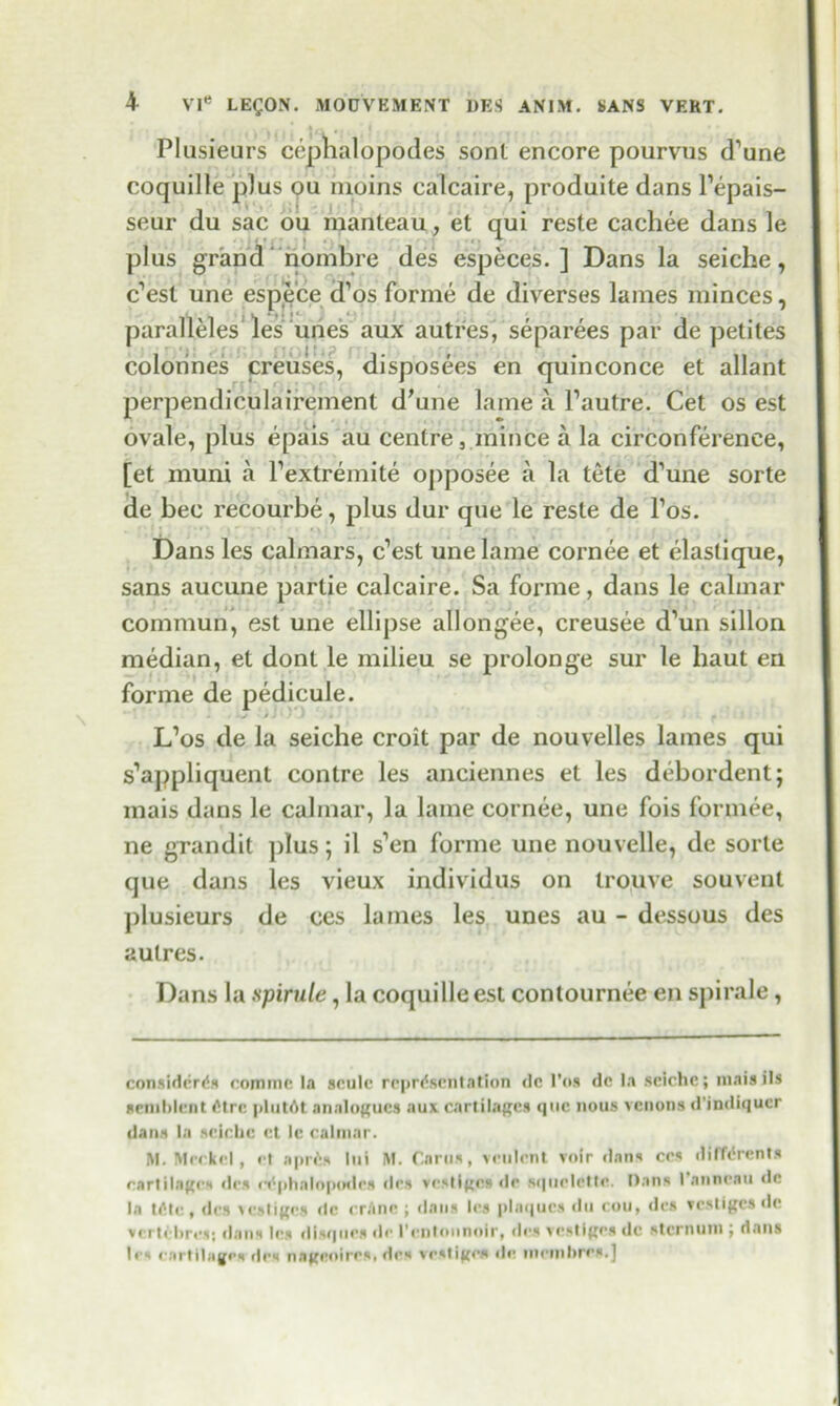 Plusieurs cepnalopodes sont encore pourvus d’une coquille plus ou moins calcaire, produite dans l’epais- seur du sac ou manteau, et qui reste cachee dans le plus grand nombre des especes. ] Dans la seiche, c’est une espece d’os forme de diverses lames minces, paralleles les unes aux autres, separees par de petites colorines creuses, disposees en quinconce et allant perpendiculairement d'une lame a l’autre. Cet os est ovale, plus epais au centre, mince a la circonferenee, [et muni a Pextremite opposee a la tete d’une sorte de bee recourbe, plus dur que le reste de Pos. Dans les calmars, e’est une lame cornee et elaslique, sans aucune partie calcaire. Sa forme, dans le calmar commun, est une ellipse allongee, creusee d’un sillon median, et dont le milieu se prolonge sur le baut en forme de pedicule. / * L’os de la seiche croit par de nouvelles lames qui s’appliquent contre les anciennes et les debordent; mais dans le calmar, la lame cornee, une fois formee, ne grandit plus; il s’en forme une nouvelle, de sorte que dans les vieux individus on trouve souvent plusieurs de ces lames les unes au - dessous des autres. Dans la spirule, la coquille est contournee en spirale, considcrds comme la scule representation de l’os de la seiche; niaisils seniblent dtre plutdt. analogues aux cartilages que nous venons d’indiquer dans la seiche et le calmar. M. Meckel, et aprds Ini M. Caros, veolent voir dans ces diffdrents cartilages des cdphalopodcs des vestiges de sqiiclctte. Dans I anneau de la Idle, des vestiges <lc crime ; dans les plaques du cou, des vestiges de vertehresj dans les disqoes de I’cntonnoir, des vestiges de sternum ; dans les cartilages des nageoires, des vestiges de memhres.J