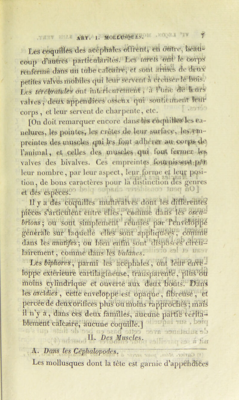 ART. 1. MOLLU;tQfj£s. 1 !V T Les coquilles des acephates dflWrnL feti cWtfe, beati- coup d’autres particularity. Les ttril' f& ttoPpx ffenfenne Jans iln tube catcall^ et strtU ahiW-s dr deux petites valves mobiles qUi leur servenf a feMiSferlfe bois. Lcs Mrefranitti out hiti-rh Mf-eiuent , a 1'tine 1« firs valves , dt*tl* appendices osienx qui smifit ifticnT Ifein- corps , et leur servent dc charpente, etc. [On doit remarquer encore dans les roqniHos le> ea- nelures, les poinles, les croUjs do leur surlatv, |e> ein- preintes ties muscles qui U s [out adherer an coi'ps tbv familial, et celies des muscles tpii foul fenuer les valves des bivalves. Ges empreintqs lm4 o‘**Udi pth' leur nombre, par leur aspect, leur [finue el leqi' posi- tion . de bons caracteres pour la distinction ties genres et dfes esptceg. 11 j a des Ctiqilillfes tntdtiValvc's drtnt leg difTereiltfeS pi&ces s’artictilent eiitre fefles ^’feoiiunfe darff> 1^'s' ds^ti- brions; oti soilt simpferiiciit rdiniieg1 parTdncHHftj^ generale sur laqnelie ettfeS1 gout apptiqdefeg; feVtrtiidfe dans les mwtifes*, on bleu edfib £dnt ''dl.tJiH^'r.^elW-iT- lairement, comme dans te$ batdties. Les brphorrs, parmi le$ hcepbale^ , otit Tditt' fenVi1- Idppe exterieure cai-tilaginfeuse, trauspareriVer, pJlfffe!Htl riioinS cylindrique et ouvet-te aux d'eilx bdutsv J>an<» les ctscidies , cette enveloppfe est opaque, ffbretVs’fe , fet percee de deux orifices plug art rlVoiris t-apprdfeby; irtats il n’y i, dahs ces deux families, auciine paH^ti feidta- blement calcaire, aucune coqullle.] un ‘dnit •»!> 'lb di ozr.a olteo ovri II. Des Muscles. D9U 3r;r-)euJ8 sb b J’ur A. Dcms les Cephalopodes. Les mollusques dont la tete est garnie d’appfehdites