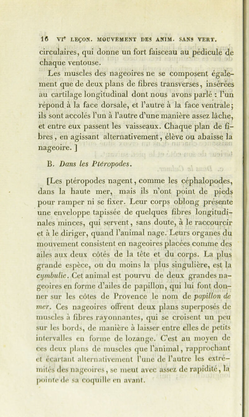 circalaires, qui donne un fort faisceau au pedicule de chaque ventouse. Les muscles des nageoires ne se composent egale- ment que de deux plans de fibres transverses, inserees au cartilage longitudinal dont nous avons parle : l’un repond a la face dorsale, et 1’autre a la face ventrale; ils sont accoles l’un a l’autre d’une maniere assez laclie, et entre eux passent les vaisseaux. Chaque plan de fi- bres , en agissant alternativement, eleve ou abaisse la nageoire. ] B. Dans les Ptdropodes. [Les pteropodes nagent, comme les cephalopodes, dans la haute mer, mais ils n’ont point de pieds pour ramper ni se fixer. Leur corps oblong presente une enveloppe tapissee de quelques fibres longitudi- nales minces, qui servent, sans doute, a le raccourcir et a le diriger, quand Panimal nage. Leurs organes du mouvement consistent en nageoires placees comme des ailes aux deux cotes de la lete et du corps. La plus grande espece, ou du moins la plus singuliere, est la c\)mbulie. Cet animal est pourvu de deux gran des na- geoires en forme d’ailes de papillon, qui lui font don- ner sur les cotes de Provence le nom de papillon de mcr. Ces nageoires offrent deux plans superposes de muscles a fibres rayonnantes, qui se croisent un pen sur les bords, de maniere a laisser entre elles de j>elits intervalles en forme de lo/.ange. C’est au moyen de ces deux plans de muscles (pie Panimal, rapprochant et ecartant alternativement Pune de Pautre les extre- miles des nageoires, se meut avec assez de rapidite, la poinfedc sa COquille en nvant.