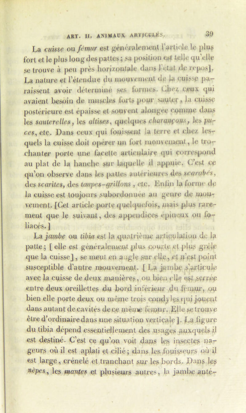 La cuisse ou femur est generalenicnl furtide le plan fort et le plus long ties patten; sa position e*t telle qu elle se trouve a pen pres horpAOiUab dans 1 tat de repos]. La nature el l’eleudue du mouvenimt de ia cuisse pu- raissent avoir determine ses formes. (die* ctux qui avaient besoin de muscles lui'U pour sautcr, la cuisse posterieure est epaisse et souvenl a Ion gee comme dans les sauterellcs, les ullises, quelques clturum oiis, les pa- ces, etc. Dans ceux qui loui-sent a ter re et die/, lcs- quels la cuisse doit operer mi tort momement, le tror- chanter porle une tacelle arliculaire <jui correspond au plat de la handle sur la quelle il appuie. (.est ce qu’on observe dans les patles auterieures des scarub&s, des Semites, des Loupe*-gri lions , etc. Lniin la tonne (U; la cuisse est toujours subordonuee au genre de uiou- veinent. [Cel article port* qudqudois, inais plus rare- meat que le submit, des appendices epiueux ou 1b- liaces.] La jambe ou Libia est la quntrieme articulation du la patte; [ elle est genera lenient plus courte el plus grdr que la cuisse] , se meul en a.;gle sur tile, et nest point susceptible d'autre mouvement. [La jambe s'arlicuie avec la cuisse de deux manieres, ou bien die estserree entre deux oreillettes do bord in t erieur du femur, ou bien elle porte deux ou meme trois comb les qui jouent dans aulant decavites dece meme femur. Elle se trouve eti-e d’ordinairedaus une situation verticale ]. La figure du tibia depend essentiellement des usages auxquels il est destine. C’est ce qu’on voit dims les insecLes na- geurs ou il est aplati et cilie; dans les fouisseurs oil il est large, crenele et tranchant sur les bords. Dans les »epes, les mantes et plusieurs autres, la jambe ante-