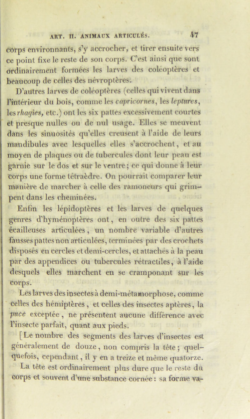 corps environnants, s’y accrocher, et tirer ensuite vers ce point fixe le reste de son corps. C’est ainsi que sont ordinairement formees les larves des coleopteres et beaucoup de cedes des nevropteres. D’autres larves de coleopteres (cedes qui vivent dans l’interieur du bois, coniine les capricornes, les leptures, les rhagies, etc.) ont les six pattes excessivement courtes et presque nudes on de nul usage. Elies se meuvent dans les sinuosites qu’elles creusent a 1’aide de leurs mandibules avec lesquelles elles s’accrochent, et au moyen de plaques ou de tubercules dont leur peau est garnie sur le dos et sur le ventre; ce qui donne a leur corps une forme tetraedre. On pourrait comparer leur mimiere de marcher a cede lies ramoneurs qui grim- pent dans les clieminees. Enfin les lepidopteres et les larves de quelques genres d’hymenopleres ont, en outre des six pattes eeailleuses articulees, un nombre variable d’autres fausses pattes non articulees, terminees par des crochets disposes en cercles etdemi-cercles, et attaches a la peau par des appendices ou tubercules retractiles, a 1’aide desquels elles marchent eu se cramponant sur les corps. Les larves des insecfesa demi-metamorphose, comme cedes des hemipteres , el cedes des insectes apteres, la puce exceptee, ne presentent aucune difference avec l’insecte parfait, quant aux pieds. [ Le nombre des segments des larves d’insectes est generalement de douz.e, non compris la tele; quel- quefois, cependant, il y en a treize el meme quatorze. La tete est ordinairement plus dure que le reste du corps et souvent d une substance cornee: sa forme va-