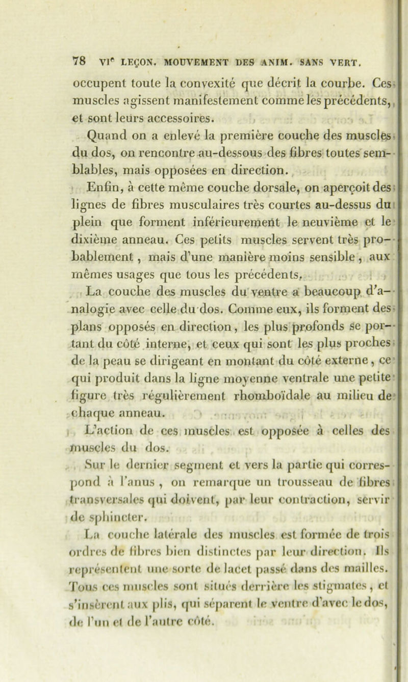 occupent toule la convexile que decrit la courbe. Ces- muscles agissent manifestement commelesprecedents,, et sont leurs accessoires. Quand on a enleve la premiere couche des muscles du dos, on rencontre au-dessous des fibres toutes sein- blables, mais opposees en direction. Enfin, a cette meme couche dorsale, on apercoitdes lignes de fibres musculaires tres courtes au-dessus du plein que Torment inferieuremerit le neuvieme et le dixieme anneau. Ces petits muscles servent tres pro- bablement , mais d’une maniere moins sensible , aux rnemes usages que tous les precedents, La couche des muscles du ventre a beaucoup d'a- nalogie avec celie du dos. Coinme eux, ils forment des plans opposes en direction, les plus profonds se por- tant du cote interne, et ceux qui sont les plus proches de la peau se dirigeant en monlant du cote externe, ce qui produit dans la ligne moyenne ventrale une petite figure ties regulierement rhomboidale au milieu de c ha que anneau. L’aclion de ces muscles est opposee a celles des /nuscles du dos. Sur le dernier segment et vers la partie qui corres- pond a I’anus , on remarque un trousseau de fibres transver.sales qui doivent, par leur contraction, servir de sphincter. La couche laterals des muscles est formee de trois ordres de fibres bien distinctes par leur direction. Ils represented une sorte de lacet passe dans des mailles. Tous ces muscles sont silues derriere les sligniates, cl s’inserent aux plis, qui separent le venire d’arec ledos, de Tun el de l’autre cote.