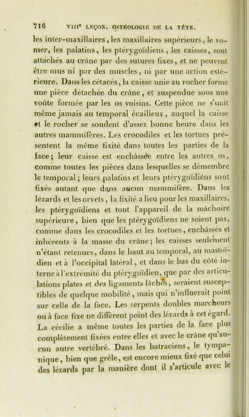 les inler-maxillaires, les maxillaires superieurs, le vo- mer, les palatins, les pterygoid lens , les caisses, sont attaches au crane par des sutures fixes, et ne peuvent etre mus ni par des muscles, ni par une action e\le- rieure. Dans les cetaces, la caissc unie au rocher forme une piece detachee du crane, et suspendue sous une voiite formee par les os voisins. Cette piece ne s’unit meme jamais au temporal ecailleux, auquel la caisse et le rocher se soudent d’assez bonne heure dans les autres mammiferes. Les crocodiles el les tortues pre- sented la meme fixite dans toutes les parlies de la face; leur caisse est enchassefe entre les autres os, comme toutes les pieces dans lesquelles se demembre le temporal; leurs palatins et leurs pterygoidiens sont fixes autant que dans aucun mammifere. Dans les lezards etlesorvels, la fixite a lieu jiourles maxillaires, les pterygoidiens et tout fappareil de la machoire superieure, bien que les pterygoidiens ne soient pas, comme dans les crocodiles et les tortues, enchasses el inherents a la masse du crane; les caisses seulement n’etant retenues, dans le haut au temporal, au mastoi- dien et a Foccipital lateral, el dans le has du cote in- terne a rexlremite du plerygoidien, que par des articu- lations plates et des ligaments laches, seraient suscep- tibles de quelque mobilite, mais qui n’inlluerait point sur celle de la face. Les serpents doubles marcheurs ou a face fixe ne different point des lezards a cet egai d. La cecilie a meme toutes les parties de la face plus complelement fixees entre elles et avec le crane qu au- cun autre vertebrc. Dans les balraciens, le tvmpa-* nique, bien que grele, est encore rnieux fixe que celui des lezards par la maniere dont il s’articule avec lc
