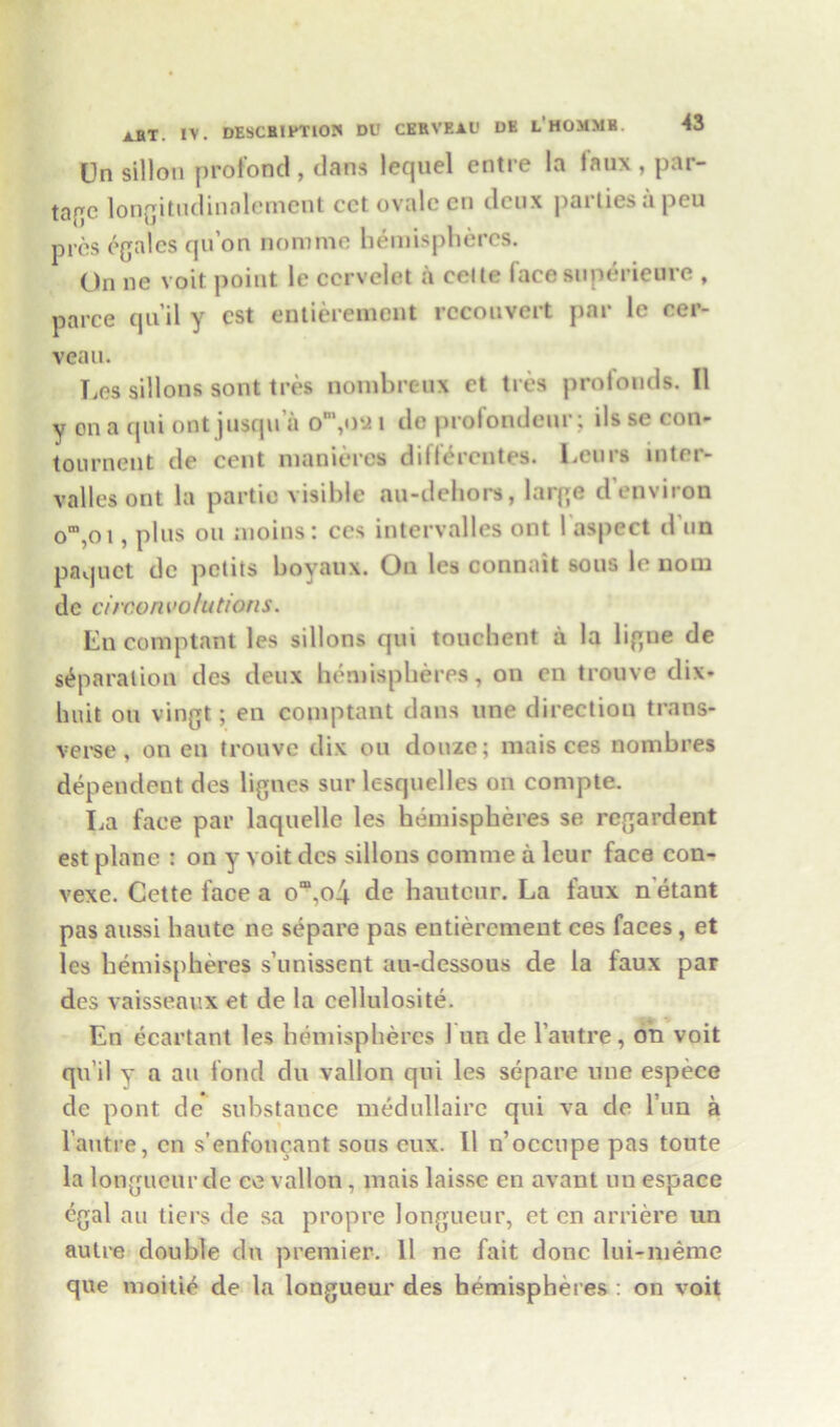 Un sillon profond , dans lequel entre la laux , par- take longitudinalement cet ovale en deux parties a peu pres egalcs qu’on nomme hemispheres. On ne voit point le ccrvclet a celte lace superieure , parce qu’il y cst entierement reconvert par lc cer- veau. T^s sillons sont tres nonibreux et ties protonds. II y on a qni ont jusqu a om,oy 1 do profondeur; ils se con- tournent de cent nianieros dillerentes. Leurs inter- valles ont la partie visible au-dehors, large d environ om,oi, plus on nioins: ccs intervalles ont 1 aspect d un paquet de petits boyaux. On les commit sous le nom de ciroeni'otutions. En comptant les sillons qm touebent a la ligne de separation des deux hemispheres, on en trouve dix- huit on vingt; en comptant dans line direction trans- verse, on en trouve dix ou dome; maisces nombres dependent des lignes sur lesquelles on compte. La face par laquelle les hemispheres se retardent est plane : on y voit des sillons coniine a leur face con- vexe. Cette face a om,o4 de hauteur. La faux n etant pas aussi haute ne separe pas entierement ces faces, et les hemispheres s’unissent au-dessous de la faux par des vaisseaux et de la cellulosite. En ecartant les hemispheres 1 un de l’autre, oh voit qu il y a an fond du vallon qni les separe une espece de pont de substance medullairc qui va de l’un a l’autre, en s’enfoncant sous eux. 11 n’occupe pas toute la longueur de ce vallon , mais laisse en avant un espace egal au tiers de sa propre longueur, et en arriere un autre double du premier. 11 ne fait done lui-memc que moitie de la longueur des hemispheres : on voit