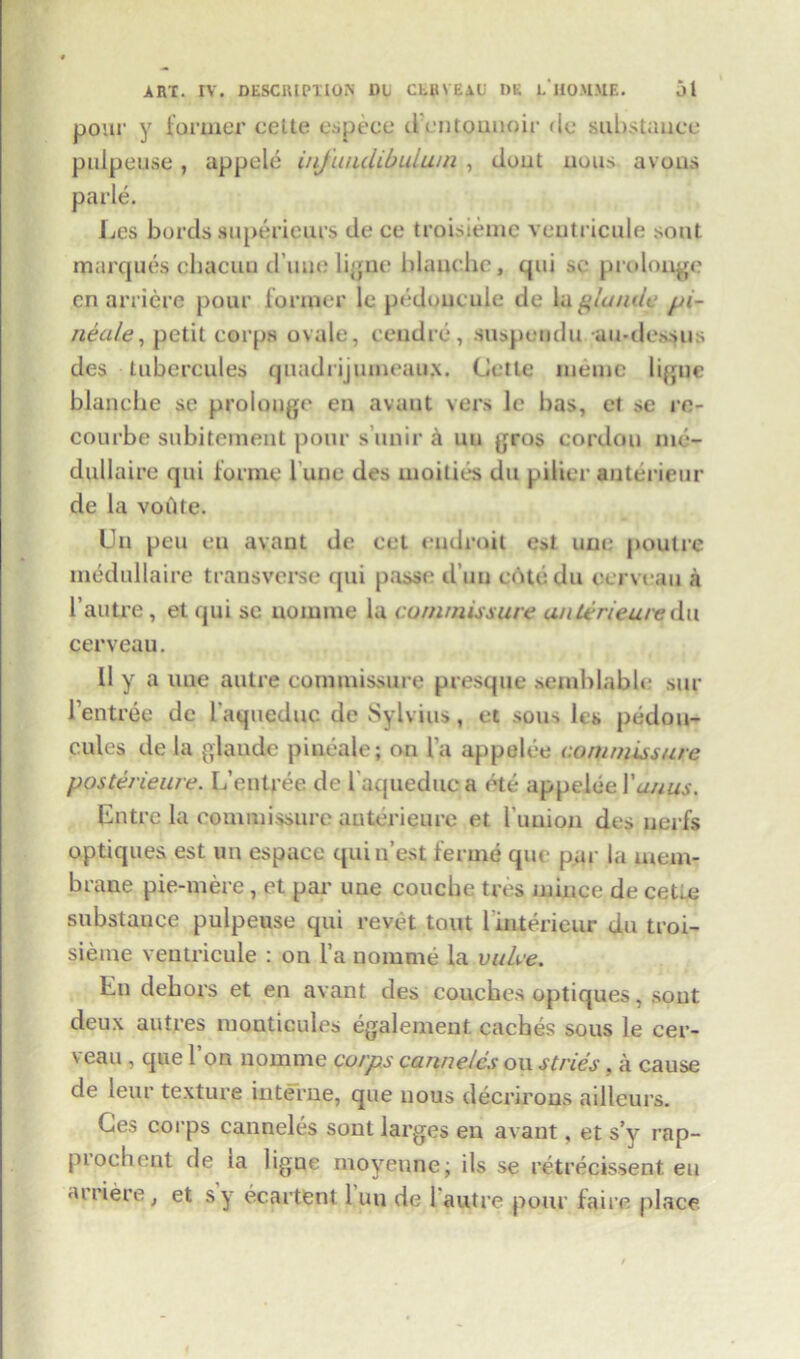 pour y former cette espece d entounoir de substance pulpeuse, appele infundibulum , clout nous avons parle. l^es bords superieurs de ce troisieme veutricule sont marques chacun d une bane blanche, qui sc pro long e cn arriere pour former le pedoucule de la glumly pi- neale, petit corps ovale, cendre, suspendu au-dessus ties tubercules quadrijumeau.x. Cette memo ligue blanche sc prolong!' en avant vers lc has, et sc rc- courbe subitcment pour s’unir a uu gras cordon me- dullaire qui forme Tune des moilies du pilier auterieur de la voiite. Un peu eu avant dc cel endroit esl une poutre medullaire transverse qui passe d un cbtedu ccrveau a l’autre, etqui se nomine la commissure anterieure du cerveau. 11 y a uue autre commissure presque scmhLable sur l’entree de laqueduc de Sylvius, et sous Its pedou- cules de la glaude pineale; on la appelee commissure posterieure. I/entree de l aqueduc a etc appelee Yunus. Entrc la commissure anterieure et bunion des nerfs optiques est un espace quin’est ferme que par la mem- brane pie-mere, et par uue coucbe tres mince de cetrn substance pulpeuse qui revet tout 1 interieur du troi- sieine veutricule : on l’a nomme la vulce. En dehors et en avant des couches optiques, sont deux autres monticules egalement. caches sous le cer- veau , que I on nomme corps canneles on stries, a cause de leur texture interne, que nous decrirons ailleurs. Ces corps canneles sont larges en avant, et s’y rap- piocbent de la ligue moyeune; ils se retrecissent eu airiere, et sy ecartent 1 uu de 1 autre pour faire place