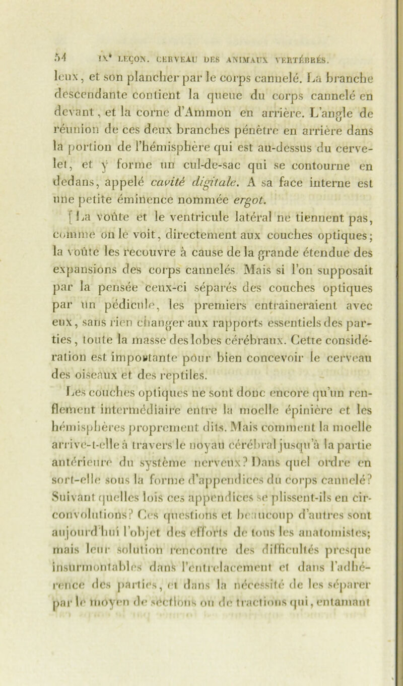 lcux, et son plancher par le corps cannele. La branche dcscendante conlient la queue du corps cannele en devant, et la corne d’Aminon en arriere. L’angle de reunion de ces deux branches penefre en arriere dans la portion de l’hemisphere qui est au-dessus du cerve- let, et y forme un cul-de-sac qui se contourne en dedans, appele cavit6 digitate. A sa face interne est nne petite eminence noramee ergot. [La voAte et le ventricule lateral ne tiennent pas, comme on le voit, directement aux couches optiques; la voute les recouvre a cause de la grande etendue des expansions des corps canneles Mais si l’on supposait par la pcnsee cenx-ci separes des couches optiques par un pedicille, les premiers entraineraient avec eux, sans rien changer aux rapports essentiels des par- ties , toute la masse des lobes cerebraux. Cette conside- ration est impowlanto pour bien concevoir le cerveau des oisenux et des reptiles. Les couches optiques ne sont done encore qu’un rcn- flenicnt intermcdiaire entre la moclle epiniere et les hemispheres propremeut dits. Mais comment la moclle arrivc-t-ellea travers le noyau cerebral jusqua lapartie anterienre du systeme ncrvenx? Dans quel ordre en sort-elle sous la forme d’appetidices du corps cannele? Suivant quelles lois ces appendices se plissent-ils en cir- convolutions? Ces questions et hcaucoup dautres sont aujourd hui l’objet des efforts de Ions les anatomistes; mais leur solution rencontre des dilfieulles presque insiirmontabh s dans I'^ntrelacement et dans ladhi- rencc des parties, et dans la necessife de les stiparer bar !<• moyen de sections on de tractions qui, entamnnt