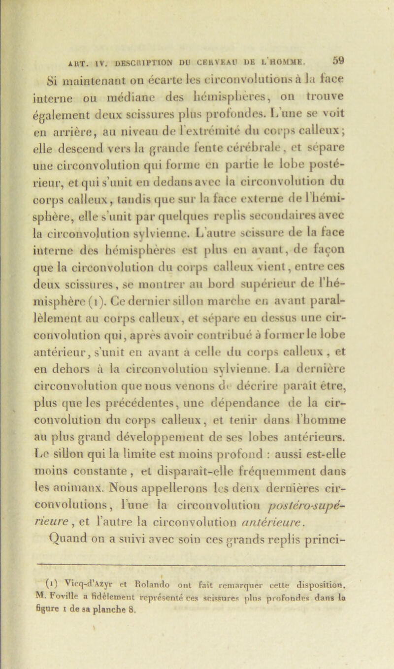 Si maintenant on ecarte les circonvolutionsa la face interne on mediane des hemispheres, on trouve egalement deux scissures plus pro fond es. L une se voit en arriere, au niveau de l extremite da corps calleux; elle descend vers la grande iente cerebrale, et separe une circonvolution qni forme en partie le lobe poste- rieur, et qui s’unit en dedans avec la circonvolution du corps calleux, tandis que sur la face externe de l hemi- sphere, dies unit par quelques replis secoudaires avec la circonvolution sylvienne. L autre scissnre de la face interne des hemispheres est plus en avnnt, de tacon que la circonvolution du corps calleux vient, entre ces deux scissures, se montrer au bord superieur de 1 he- misphere (1). Ce dernier sillon marche en avant paral- lelement au corps calleux, et separe en dessus une cir- convolution qui, apres avoir contribue a former le lobe anterieur, s'unit en avant a celle du corps calleux, et en dehors ii la circonvolution sylvienne. La derniere circonvolution que nous venous d< decrire para it etre, plus que les precedentes, une dependance de la cir- convolution du corps calleux, et tenir dans l’homme au plus grand developpement de ses lobes anterieurs. Le sillon qui la limite est moins profond : aussi est-elle moins constante , et disparait-elle frequemment dans les animanx. Nous appellerons les deux dernieres cir- convolutions, lune la circonvolution posterosupe- rieure, et l’autre la circonvolution anterieure. Quand on a suivi avec soin ces grands replis princi- (l) Vicq-d’Azyr et Rolando onl fait remarquer cetle disposition. M. Foville a fidelement represent^ ces scissures plus profondes dans la figure t de sa planche 8.