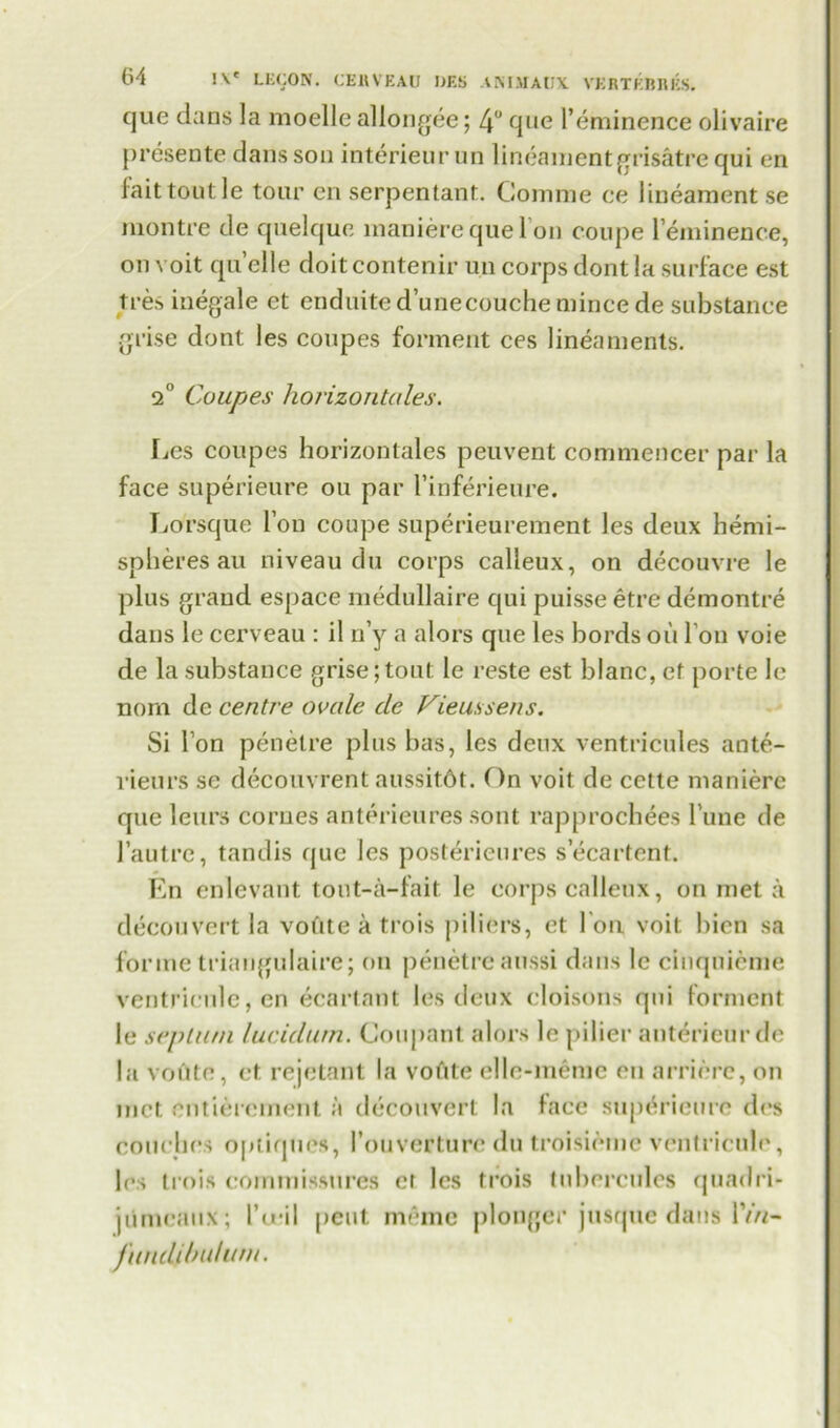que dans la moelle allongee; 4° que l’eminence olivaire presente dans son interieurun lineament grisatre qui en laittoutle tour en serpentant. Gomme ce lineament se montre de quelque inaniere que 1 on coupe l’eminence, on voit qu elle doit contenir un corps dont la surface est tres inegale et enduited’unecouche mince de substance grise dont les coupes forment ces lineaments. 2° Coupes horizontales. Les coupes horizontales peuvent commencer par la face superieure ou par l’inferieure. Lorsque Ton coupe superieurement les deux hemi- spheres an niveau du corps calleux, on decouvre le plus grand espace medullaire qui puisse etre demontre dans le cerveau : il n’y a alors que les bords oil Ton voie de la substance grise;tout le reste est blanc, et porte le nom de centre ovale de Vieussens. Si Ton penelre plus bas, les deux ventricules ante- rieurs se decouvrent aussitdt. On voit de cette manierc que leurs corues anterieures sont rap|)rochees l’une de l’autre, tandis que les posterieures secartent. En enlevant tout-a-fait le corps calleux, on met a decouvert la voCite a trois piliers, et I on voit bien sa forme Iriaugulaire; on penetrcaussi dans le cinquicme ventricule, en ecartant les deux cloisons qui forment le septum lucidum. Coupant alors le pilier anterieurde la voCtte, et rejetant la vofite ello-memc en arrierc, on met ontierement a decouvert la face superieure des couches optiqncs, 1’ouverture du troisieme ventricule, les trois commissures et les trois tubercules quadri- jtimeaux; I’uril pent memo plonger jusque dans lVVi- fwiddndwn.