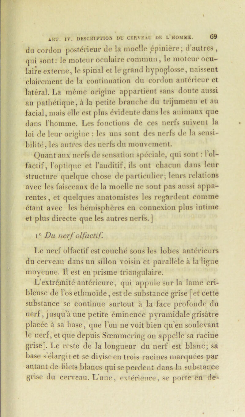 dn cordon post6rieur do la moello epiniere; d’autres , qui sont: le moteur oculaire fommuii, le moteur ocu- laire externe, le spinal et le grand hypoglosse, naissent clairement de la continuation dti cordon anterieur et lateral. La meme origine appartient sans doute aussi an palhetique, a la petite branche du trijumeau et au facial, mais elle est plus evidente dans les auimaux que dans rhomme. Les fouctions de ces nerfs suivent la loi de leur origine : les mis sont des nerfs do la sensi- bilite, les autres ties nerfs du mouvement. Quant aux nerfs de sensation speciale, tjui sont: i’ol- faclif, l’optique et l’auditif, ils ont chacun dans leur structure quelque chose de parlieulier; leurs relations avec les faisceaux de la raoelle ne sont pas aussi nppa- rentes, et quelques anatomistes les regardent comme etant avec les hemispheres en connexion plus intime et plus directe que les autres nerfs. ] i° Du nerf olfactif. Le nerf olfactif estcouche sous les lobes anterieurs du cerveau dans an sillon voisin et parallele a la ligne moyenne. 11 est en prisme triangulaire. L’extremite anterieure, qui appuie sur la lame cri- bleuse de l’os ethmoide, est de substance grise [et cette substance se continue surtout a la face profondc du nerf, jusqua line petite eminence pyrarnidale grisatre placee a sa base, que I on ne voit bien qu’en soulevant le nerf, etque depuis Soemmering on appelle sa raciue grise]. ]>e reste de la longueur du nerf est blanc; sa base s elargit et se diviseen trois racines marquees par antaut de filets blancs qui se perdent dans la substance grise du cerveau. Lime, exterienre, se porte en de-