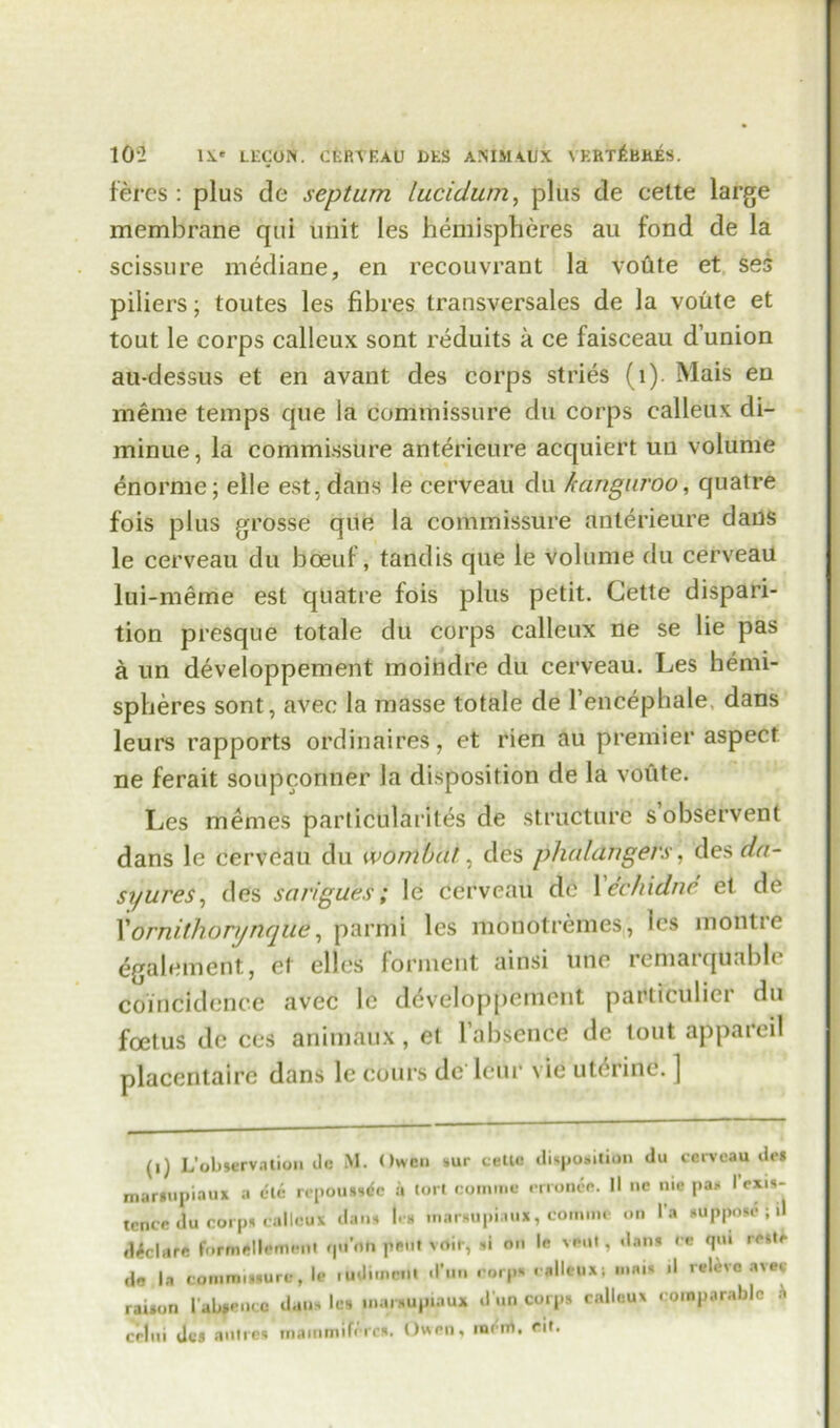 feres: plus de septum lucidum, plus de celte large membrane qui unit les hemispheres au fond de la scissure mediane, en recouvrant la vofite et ses piliers; toutes les fibres transversales de la voute et tout le corps calleux sont reduits a ce faisceau d’union au-dessus et en avant des corps stries (1). Mais en liieme temps que la commissure du corps calleux di- minue, la commissure anterieure acquiert uu volume enorme; elle est, dans le cerveau du kangaroo, quatre fois plus grosse que la commissure anterieure dans le cerveau du boeuf, tandis que le volume du cerveau lui-meme est quatre fois plus petit. Cette dispari- tion presque totale du corps calleux ne se lie pas a un developpement moindre du cerveau. Les hemi- spheres sont, avec la masse totale de Fencephale, dans leurs rapports ordinaires, et rien au premier aspect ne ferait soupcoftner la disposition de la voute. Les memes particularities de structure s’observent dans le cerveau du wombat, des phaldngers, des da- syures, des sarigues; le cerveau de 1 eehidne et de Xornilhonjnque, parmi les monotremes, les montre egalement, et ellos forment ainsi tine rematquabh coincidence avec le developpement particulici du foetus de ces animaux , et l’absence de tout appareil placentaire dans le cours de lour vie uterine. ] (i) L’observation de M. Owen sur cello disposition du cerveau de* mariupiaux a die repoussde a tort comme crronce. II no me pas I exis- tence du corps calleux dans lea innrsupi.iux, comme on la suppose ; d declare forniellement qu’rth pent voir, si on le vent, dans ce qm reste de la commissure, le ludimctlt d’un corps calleux; Minis il reldve avec rauon l’ab»em:c duns les marsupiaux d’un corps calleux comparable h celiii Jes aulres mainmifircs. Owen, mcni. eit.