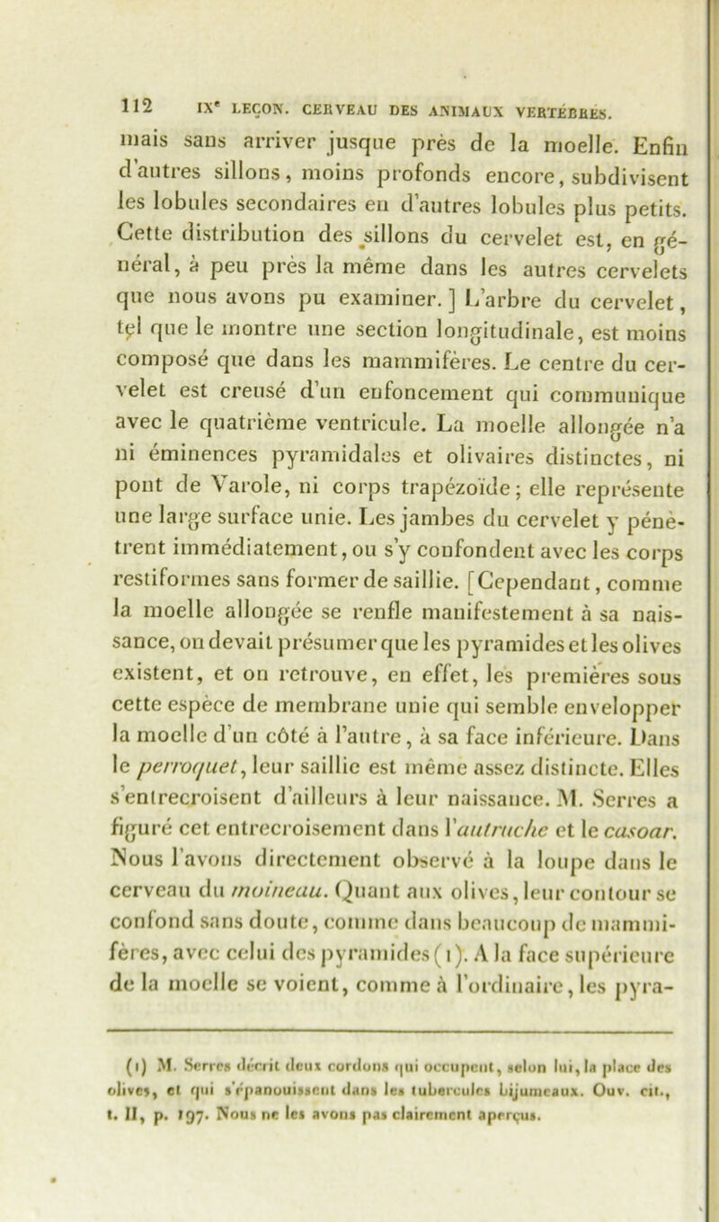 mais sans arriver jusque pres de la moelle. Enfin d’autres sillons, moins profonds encore, subdivisent les lobules secondaires en d’autres lobules plus petits. Cette distribution des^sillons du cervelet est, en ge- neral, a peu pres la meme dans les autres cervelets que nous avons pu examiner.] L’arbre du cervelet, t^l que le rnontre une section longitudinale, est moins compose que dans les mammiferes. Le centre du cer- velet est creuse dun enfoncement qui communique avec le quatrieme ventricule. La moelle allongee n’a ni eminences pyramidales et olivaires distinctes, ni pout de Varole, ni corps trapezoide; elle represente une large surface unie. Les jambes du cervelet y pene- trent immediatement, ou s’y confondent avec les corps restiformes sans former de saillie. [Ccpendant, comme la moelle alloDgee se renfle manifestement a sa nais- sance, ondevait presumerque les pyramideset les olives existent, et on retrouve, en eflet, les premieres sous cette especc de membrane unie qui seinble envelopper la moelle d un c6te a l’autre, a sa face inferieure. Dans le paroquet, leur saillie est meme assez distincte. Elies s’enlrecroisent d’ailleurs a leur naissance. M. Serres a figure cet entrecroisement dans Yautruche et le casoar. INous l’avons directcment observe a la loupe dans le cerveau du muineau. Quant aux olives, leur contour se confond sans doute, comme dans beaucoup dc mammi- feres, avec celui des pyramides(i). A la face superieure de la moelle se voient, comme a l ordinaire, les pyra- (i) M. Serres clerrit deux cordons qui occupcut, scion lui,la place des olives, ct rpii s'rpanouisseot dans les tuberculcs Lijurucaux. Ouv. cil., t. II, p. 197. Nous ne les avons pas claircmcnt aprri;us.
