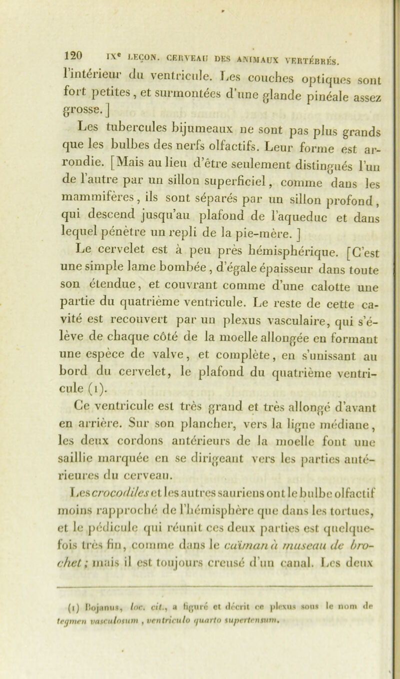 1 inteiieur du ventricule. Les couches optiqucs soul foit petites, et sunnontees d une glande pineale assez grosse. j Les tubercules bijumeaux ne sont pas plus grands cjug les bulbes des nerls ollactifs. Lcur forme est ar- rondie. [Maisaulieu d’etre seulement distingues l’un de 1’autre par un sillon superficiel, comme dans les mammiferes, ils sont separes par un sillon profond, qui descend jusqu’au plafond de l’aqueduc et dans lequel penetre un repli de la pie-mere. ] Le cervelet est a pen pres bemispherique. [G’est une simple lame bombee, d egale epaisseur dans toute son etendue, et couvrant comme d’une calotte une partie du quatrieme ventricule. Le reste de cette ca- vite est recouvert par un plexus vasculaire, qui se- leve de cbaque cdte de la moelle allongee en formant une espece de valve, et complete, en s’unissant au bord du cervelet, le plafond du quatrieme ventri- cule (1). Ge ventricule est tres grand et tres allonge d’avant en arriere. Sur son plancher, vers la ligne mediane, les deux cordons anterieurs de la moelle font une saillie marquee en se dirigeant vers les parties aute- rieures du ccrveau. Ijes crocodiles et les autres sauriens on t lebulbeolfactif moins rapproche de l’liemisphere que dans les tortucs, ct le pddicule qui reuriit ccs deux parties est quelque- fois tres fin, comme dans le caiman a rnuseau de bro- cheti inais il est toujours crcuse d un canal. Gcs deux (i) Ilojanui, l»r. at., a figure cl decrit rc plrviu sou* le nom <li* teamen vasculotum ,ventriculo i/uarto tupertentum.