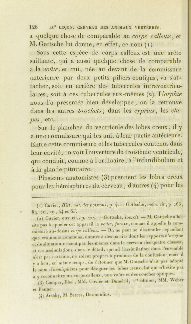 a quelque chose de comparable au corps calleux, et M. Gottsche lui donne, en effet, cc nom (1). Sous cette espece de corps calleux est une arete saillante, qui a aussi quelque chose de comparable a la vou(e,et qui, nee au devant de la commissure anterieure par deux petits piliers contigus, va s’at- tacher, soit en arriere des tubercules intravenlricu- laires, soit a ces tubercules eux-memes (2). L'orphie nous l a presentee bieu developpee ; on la retrouve dans les autres brockets, dans les cyprins, les du- pes , etc. Sur le plancher du ventricule des lobes creux, il y a une commissure qui les unit aleur partie anterieure. Entre cette commissure etles tubercules contenus dans leur cavite, on voit l’ouverture du troisieme ventricule, qui conduit, comme a l’ordinaire, a l’infundibulum et a la glande pituitaire. Plusieurs anatomistes (3) prennent les lobes creux pour les hemispheres du cerveau, d’autres (4) pour les (1) Cuvier, Hist. nat. lies poissons, p. t\i i ; Gottsche, mem. cit., p. 263, fig. 20, 29,54 et 55. (2) Cuvier, ouv. cit., p. 4=4- —Gottsche, loc. cit. — M. Gottsche n’ln- site pas a appeler cet appareil la voiitc, fornix, comme il appelle la com- missure au-dessus corps calleux. — On ne peut sc dissimuler cependant fpie ces noms communs, donnes it lies parties dont les rapports <1 origine ,-t ,lo situation ne sont pas les memos dans 1c cerveau des quatre classes, et res assimilations dans le detail, quaiid 1 assimilation dans I ensemble n'est pas cerlaine, nc soient propres a produire de la confusion; mats d y a lieu , en memo temps, de s’clonnrr que M. Gottsche n’ait pas adoptd le nom d’hemispheres pour designer les lobes creux, lui qui n licsite pas a y reconnaiIre un corps calleux , une vniite el des couches optiques. (3) Camper, Ebel, MM. Cuvier et Pumeril, i'* edition, MM. Weber et Fenner. (4) Arsnky, M. Scrres, Desmoulins.