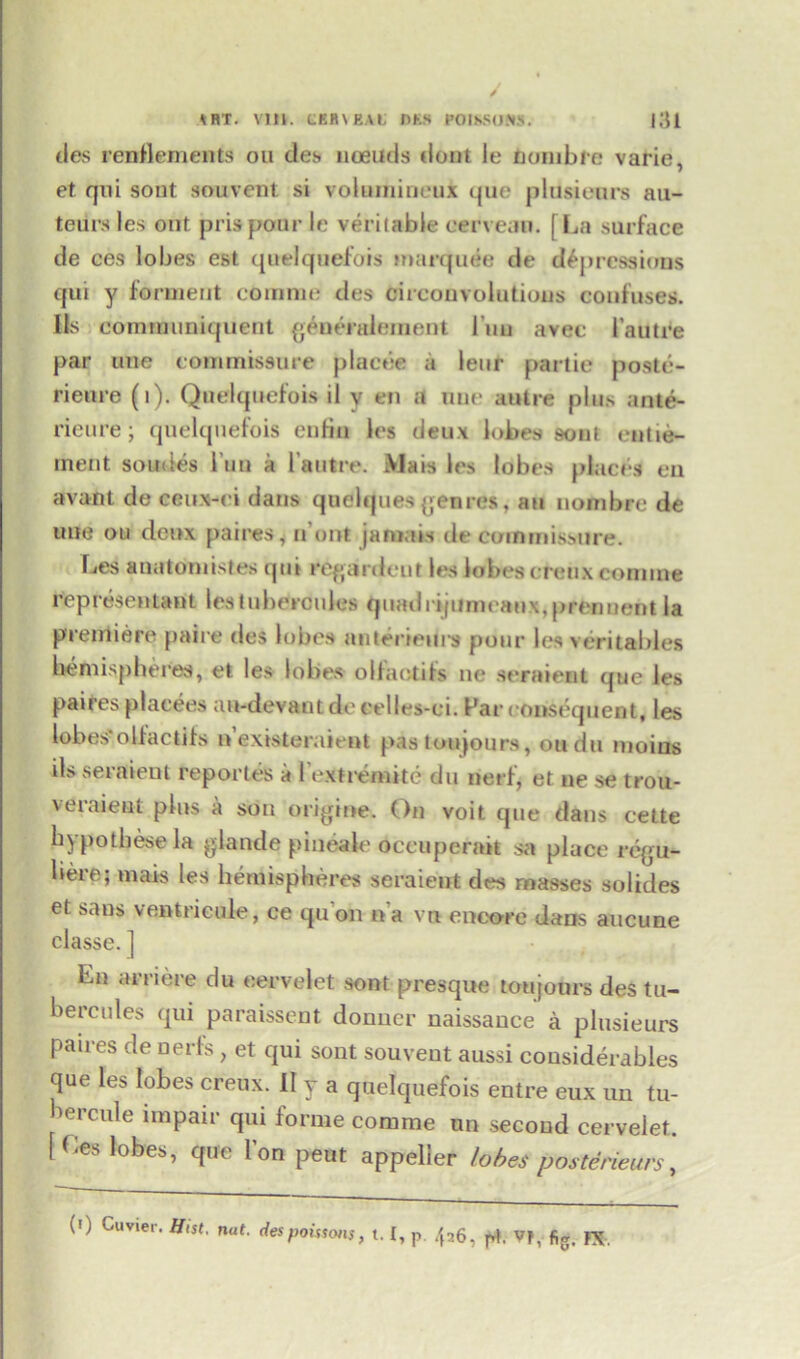ties renflements on ties noeuds tlont le fcombfe varie, et qui sont sou vent si voluinincux que plusienrs au- teurs les out pr is pour le veritable eerveau. [La surface de ces lobes est quelquefois marquee de depressions qui y forment comme ties circonvolutious confuses. Us coimnuniquent generalement 1'uu avec 1’autre par uue commissure placee a leur partie poste- rieure (1). Quelquefois il y en a nue autre plus ante- rieure; quelquefois enfiii les deux lobes sont entie- inent soudes 1’un a l autre. Mats les lobes places eu avant de ceux-ei dans quelques genres, an nombre de line ou deux paires, n out jamais de commissure. Les anatoniist.es qui regairdeut les lobes creitx comme representant les tubercules tpiadrijiimcaux,prcnuent la prerrtiere paire des lobes auterieurs pour les veritables hemispheres, et les lobes olfaotifs ne seraient que les paires placees au-devant de celles-ci. Far consequent, les lobes?olfactifs n existeraient pas toujours, ou du moius ils seraient reportes a 1'exti'emite du nerf, et ne se trou- veraieut plus a son origine. On voit que dans cette bypotbese la glande pineale occuperait sa place regu- bere; mais les hemispheres seraient des masses solides et sans ventricule, ce qu'on it'a vu encore dans aucune classe.J En arriere du eervelet sont presque toujours des tu- bercules qui paraissent donuer naissauce a plusieurs paires de nerfs, et qui sont souvent aussi considerables que les lobes creux. II y a quelquefois entre eux un tu- lercule impair qui forme comme un second eervelet. [Les lobes, que Ion peut appeller lobes posterieurs,