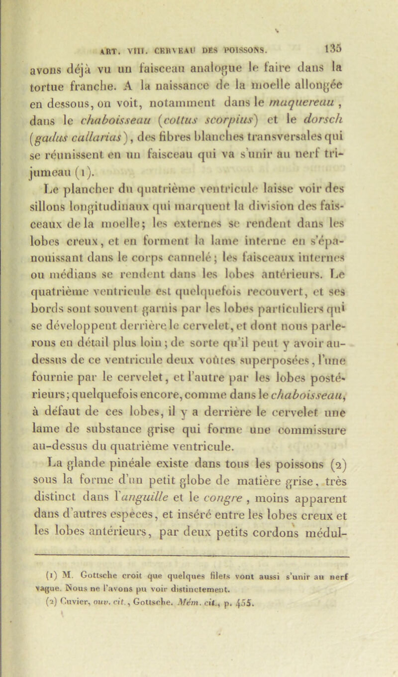 avons deja vu un faisceau analogue le fa ire dans la tortue franche. A la naissance de la moeile allongee en dessous,on voit, notainment dans le rnaquereau , dans le chaboisseau (coitus scorpius) et le dorsch (genius callarias), des fibres blanches transversales qni se rcunissent en un faisceau qni va s’unir an nerf tri- juraeau (1). lie plancher du quatrieme ventricule laisse voir des sillons longitudiuaux qui marqnent la division des faix- ceauxdela moeile; les externes se rendent dans les lobes creux, et en forraent la lame interne en s’rpa- nouissant dans le corps cannele; les faisceaux internes on medians se rendent dans les lobes anterieurs. Le quatrieme ventricule est quelquefois reconvert, et ses bords sont souvent garnis par les lobes particuliers qui se developpent derrierelo cervelet,et dont nous parle- rons en detail plus loin ; de sorte qu’il pent y avoir au- dessus de ce ventricule deux vofttes superposees , l’une fournie par le cervelet, et l’autre par les lobes poste- rieurs; quelquefois encore, coniine dans le chaboisseau, a defaut de ces lobes, il y a derricre le cervelet une lame de substance grise qui forme une commissure au-dessus du quatrieme ventricule. La glande pineale existe dans tons les poissons (2) sous la forme dun petit globe de matiere grise, tres distinct dans 1 anguille et le congre , moios apparent dans d’autres espeees, et insere entre les lobes creux et les lobes anterieurs, par deux petits cordons medul- (1) M Gottsche croit que quelques filets vont aussi s’unir au nerf vague. Nous ue I’avons pu voir distinctement. (a) Cuvier, nuv. cit., Gottselie. Mem. cit., p. 455.