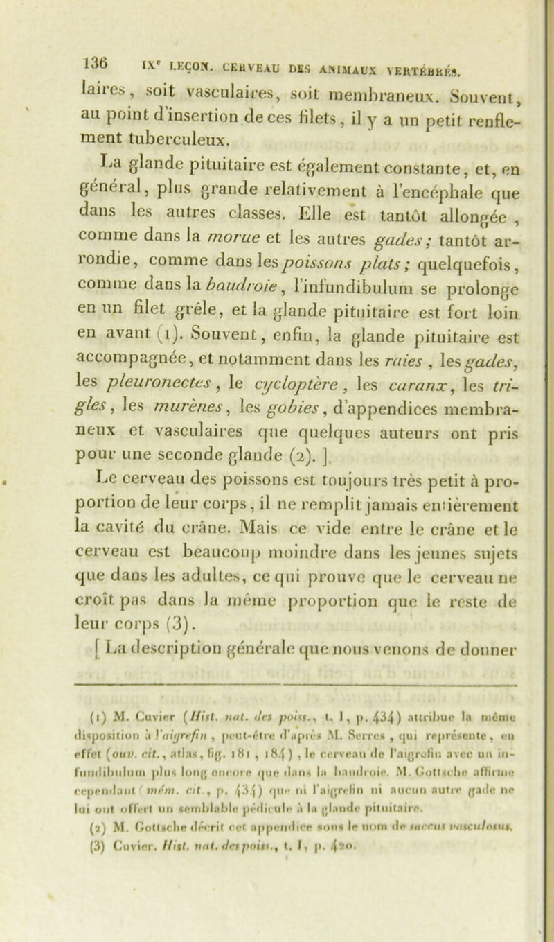 Idite.s, soit vasculaires, soil membraneux. Souvent, au point d’insertion deces filets, il y a un petit renfle- ment tuberculeux, La glande pituitaire est egalement constante, et, en general, plus grande relativement a l’encephale cjue dans les autres classes. Elle est tantot allongee , comme dans la morue et les autres gades; tantot ar- londie, comme daps lespoissons plats; quelquefois, comme dans la baudroie, l’infundibulum se prolonge en un filet grele, et la glande pituitaire est fort loin en avant (i). Souvent, enfin, la glande pituitaire est accompagnee, etnotamment dans les redes , les gades, les plcuronectes , le cy clop ter e , les caranx, les tri- gtes, les murenes, les gobies, d’appendices membra- neux et vasculaires cpie quelques auteurs ont pris pour une seconde glande (2). ] Le cerveau des poissons est toujours tres petit a pro- portion de leur corps, il ne remplit jamais eniierement la cavity du crane. Mais ce vide entre le crane et le cerveau est beaucoup moindre dans les jeunes sujets que dans les adultes, ccqui prouve que le cerveau ne croit pas dans la meme proportion que le reste de leur corps (3). [ La description genera I e que nous venons de donner (1) M. Cuvier (Hist. tint. des poiss., t. 1, |». 434) allribuc la nitonc disposition a Yaitjrefin , pi*Ul-elre d'apie.s M. Serves , qui re presente, en effet (ouv. ritalias, fij;. iHi , i) , le rerveau tie I’aigrefir. avee un in- fundibulum plus lonj; encore que dans la baudroie. M.Gottselic affirwe cependant mem. at., p. 43 j) que ni I'oigrehn ni aucun autre (pile ne Ini ont offerl un sctnblablc pedieule a la jjlande pituitaire. (s) M. GutUelie deer it ret appendice sons le m»m <le menu vatculosut,