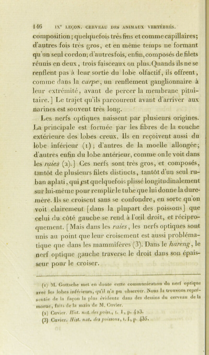 composition; quelquefoistresfins etcommecapillaires; dautres fois tres gros, et en meme temps ne formant qu tin seul cordon; d’autresfois, enfin,composes de filets reunis en deux, trois faisceaux ou plus.Quands ils ne se renflent pas a leur sortie du lobe olfactif, ils offrent, cominc dans la carpe, un renflement gauglionnaire a leur extremite, avant de percer la membrane pitui- taire. ] Le trajet qu’ils parcourent avant d’arriver aux narines est souvent tres long. Les nerfs optiques naissent par plusieurs origines. La principale est formee par les fibres de la couche exterieure des lobes creux. Ils en recoivent aussi du lobe inferieur (1) ; d autres de la moelle allongee; d autres enfin du lobe anterieur, comme onle voit dans les rales (2).] Ges nerfs sont tres gros, et composes, tantot de plusieurs filets distiucls, tantdtd’un seul ru- ban aplati, quipst quelquefois plisse longitudinalement sur lui-meme pour remplir le tube que lui donne ladure- mere. 11s se croisent sans se confondre, en sorte qu’on voit clairerneut [dans la plupart des poissons] que celui du c6te gauche se rend a 1’oeil droit, et recipro- quement. [Mais dans les rules, les nerfs optiques sont unis au point que leur croisement est aussi problema- tique que dans les mammiferes (3). Dans le hare rig, le nerf optique gauche traverse le droit dans son epais- seur pour le croiser. (1) M. Goltscbe met en doute retto communication du nerf optique avec les lobes inferieur*, qu’il n’a pu observer. Nous l.i trouvon* repre- sentec de In fn^on la plus evidetite dans des dessina du cerveau de la morue, falls de la main de M. Cuvier. (a) Cuvier. Uni. nut. (/<•< poin-t I. I, p- 4 1 * 3^. (3) Cuvier. Hist. nat. (its poissons, I. 1, p- 435.