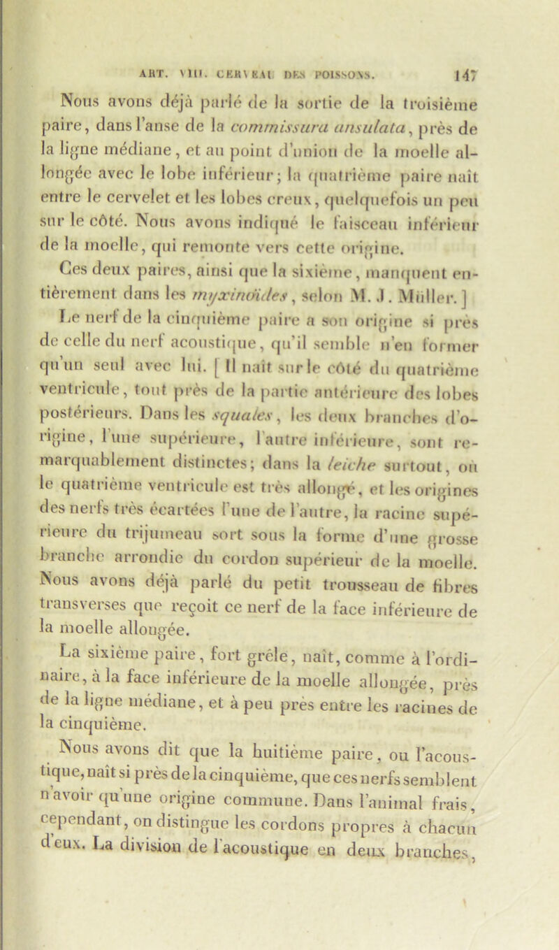 Nous avons deja parle tie la sortie cle la troisieme paire, clans 1’anse de la comrnissuru ansulata, pres de la ligne m^diane, et au point d’nnion de la moelle al- lnngdc avec le lobe inferieur; la quafrieme paire nait entre le cervelet et les lobes creux, quelquefois un pen snr le chte. Nous avons indique le faisceau inferieur de la moelle, cpii remonte vers cette online. Ces deux paires, ainsi cjue la sixieme, manquent en- tierement dans les myxindidcs, selon M. .1. Muller.] Le neid de la cinquieme paire a son origine si pres de celledu nerf acoustique, qu’il senible n’eu former qu un sen! avec lui. | ll naif surle cAte du quatrieme ventricule, tout pres de la paitie anterieure des lobes posferieurs. Dans les squales, les deux branches d’o- rigine, lune superieure, l autre inferieure, sont re- marquablement distinctes; dans la leiche surtout, oh b quati ieme venti'icule est tres allonjjr, et lesoripincs desnerls tres eeartees fune de l autre, la racine supe- rieure du trijumeau sort sous la forme d’une grosse branclie arrondie du cordon superieur de la moelle. Nous avons deja parle du petit trousseau de fibres transverses que re^oit ce nerf de la face inferieure de la moelle allougee. La sixieme paire, fort grele, nait, comme a l’ordi- naire, a la face inferieure de la moelle allougee, pres de la ligne mediane, et a pen pres entre les racines de la cincpiieme. Nous avons dit que la huitieme paire, ou l’acous- tique, nait si pres de la cinquieme, que ces nerfs semblent n avoir qu’une origine commune. Dans l’animal frais, cependant, on distingue les cordons propres a chacun deux. La division de 1 acoustique en deux branches.