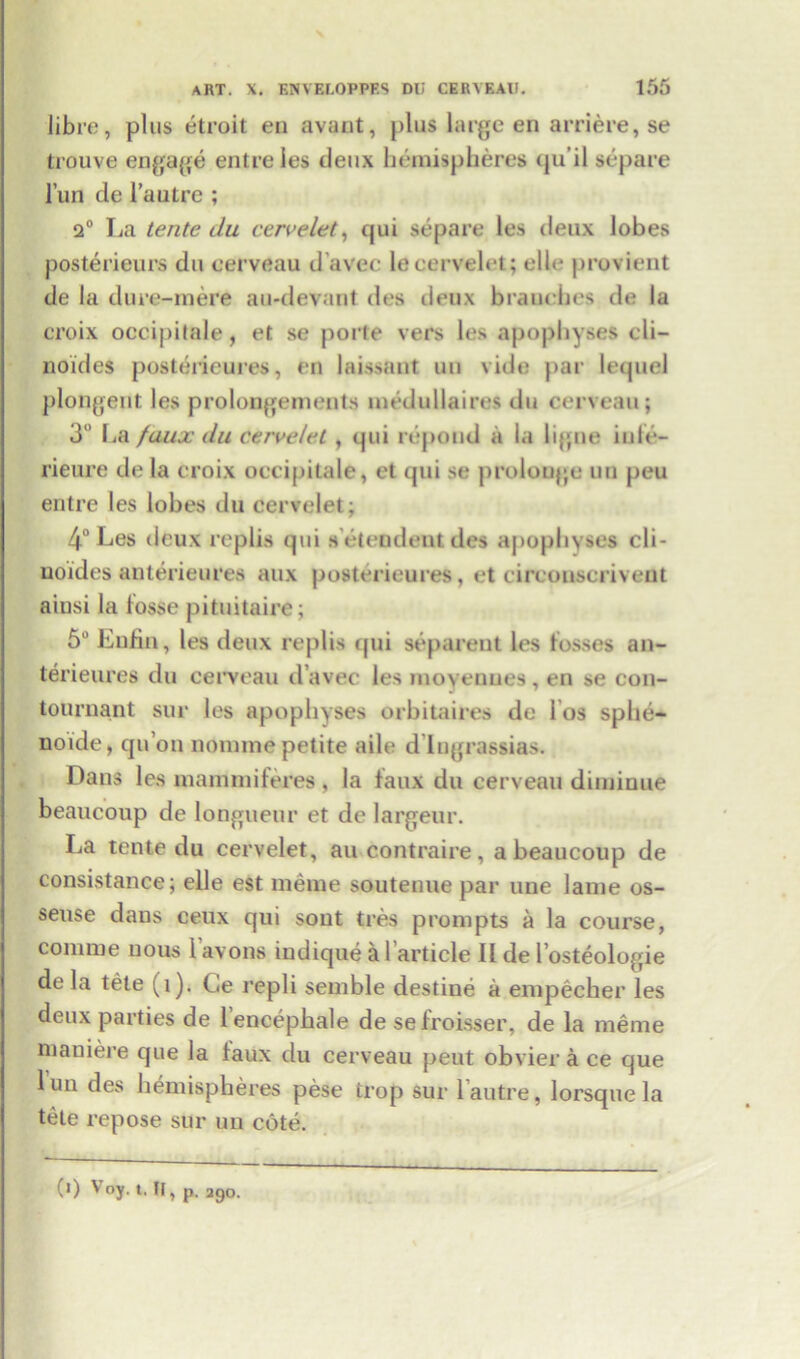 \ libre, plus etroit en avant, plus large en arriere, se trouve engage entreles deux hemispheres qu’il separe l’un de l’autre ; 2° La tente du cervelet, qui separe les deux lobes posterieurs du eerveau d’avec lecervelet; elle provient de la dure-mere au-devant des deux branches de la croix occipitale, et se porte vers les apophyses cli— noides posterieures, en laissant uu vide par lequel plongent les prolongements medullaires du eerveau; 3“ La faux du cervelet, qui repond a la ligne iufe- rieure de la croix occipitale, et qui se prolonge mi peu entre les lobes du cervelet; 4° Les deux replis qui s elendent des apopiiyses cli - uoides anterieures aux posterieures, et circonscrivent ainsi la fosse pifuitaire; 5° Eufin, les deux replis qui separeut les fosses an- terieures du eerveau d’avec les moyenues, en se con- tournant sur les apophyses orbitaires de los splie- uoide, qu’on nomine petite aile d lugrassias. Dans les mammiferes , la faux du eerveau diminue beaucoup de longueur et de largeur. La tente du cervelet, au contraire, a beaucoup de consistance; elle est meme soutenue par une lame os- seuse dans ceux qui sout tres prompts a la course, comme nous I’avons iudique al article II de l’osteologie de la tete (l). Ce repli semble destine a empecher les deux parties de lencephale de sefroisser, de la meme nianiere que la faux du eerveau peut obvier a ce que lun des hemispheres pese trop sur 1 autre, lorsque la tele repose sur uu cote. (i) Voy. t. II, p. 2g0