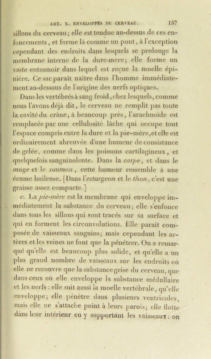 sillons du cerveau; elle est tendue au-dessus de ces en- foncements , et forme la cornme un pont, a l’exception cependant des endroits dans lesquels se prolonge la membrane interne de la duremere; elle forme un vaste entonnoir dans letjuel est recue la moellc epi- niere. Ce sac parait naitre dans 1'homme immediate- ment au-dessous de l’origine des nerfs optiques. Dans les vertebras a sang froid,chez lesquels, comme nous l’avons deja dit, le cerveau ne remplit pas toute la cavitedu crane, a beaucoup pres, rarachnoide est remplacee par une cellulosite lacbe qui occupe tout l’espace compris entre la dure et la pie-mere,et elle est ordinairement abreuvee d une humeur de consistance de gclee, comme dans les poissons cartilagineux, et quelquefois sanguinolente. Dans la carpe, et dans le muge et le suumon , cette humeur ressemble a une ectune buileuse. [Dans Yesturgeon et le thou, c’est une graisse assez compacte.] c. La pie-mere est la membrane qui enveloppe im- mediatemeut la substance du cerveau; elle s’cnfouce dans tons les sillons qui sont traces sur sa surface et qui en forment les circonvolutions. Elle parait com- posee de vaisseaux sanguins; mais cependant les ar- teres etles veines ue font que la penetrer. On a remar- que quelle est beaucoup plus solide, et quelle a un plus grand nombre de vaisseaux sur les endroits oil elle ne recouvre que la substance grise du cerveau, que dans ceux ou elle enveloppe la substance medullaire et les nerfs : elle suit aussi la moelle vertebrate, qu’clle enveloppe; elle penetre dans plusieurs ventricnlcs, mais elle ue s’attache point a leurs parois; elle flotte dans leur interieur eu y supportant les vaisseaux: on