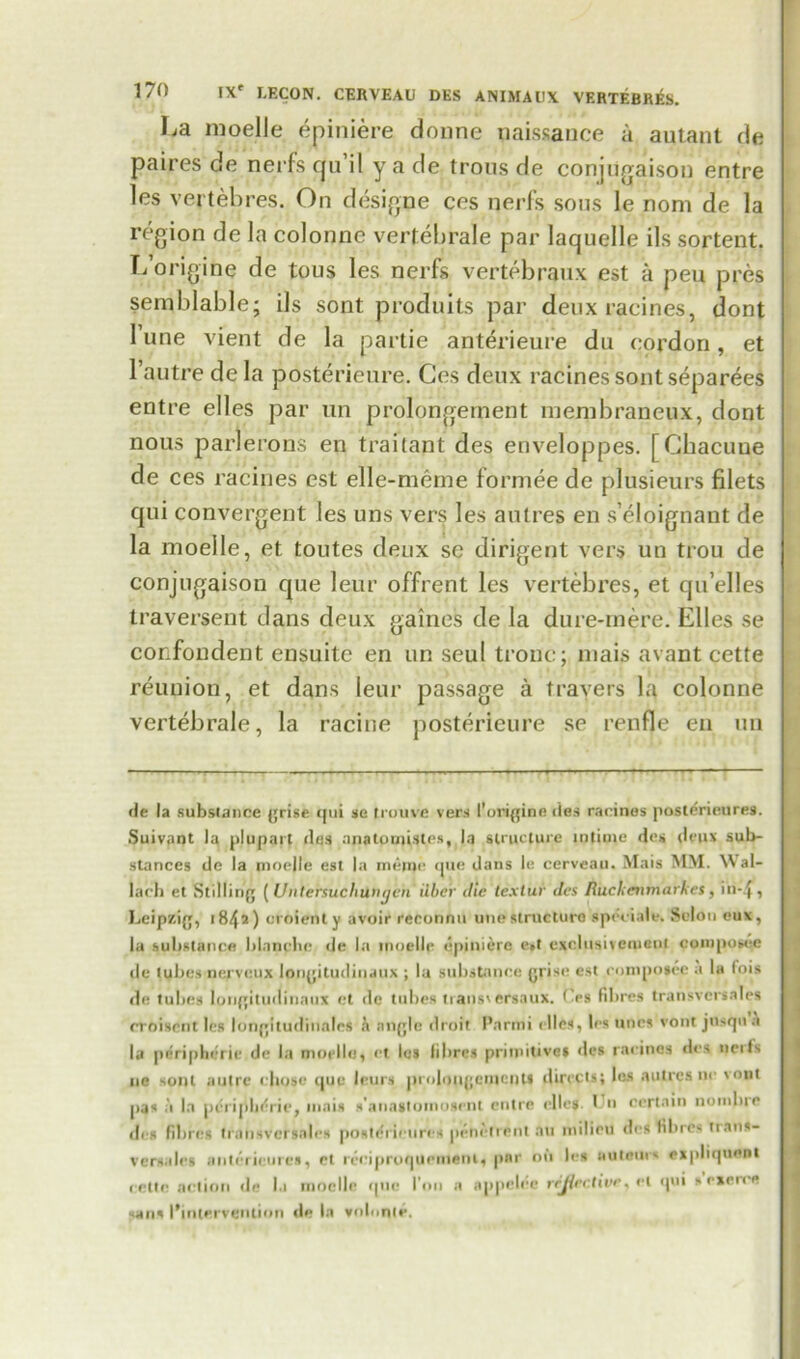 La moelle epiniere donne paissance a autant fie paires de nerfs qu’il y a de trous de conjugaisou entre les vertebres. On designe ces nerfs sons le nom de la region de la colonnc vertebrale par laquelle ils sortent. I/origine de tous les nerfs vertebraux est a peu pres semblable; ils sont produits par deux racines, dont 1 une vient de la partie anterieure du cordon, et 1 autre de la posterieure. Ces deux racines sont separees entre elles par un prolongement niembraneux, dont noiis parlerons en traitant des enveloppes. [Chacuue de ces racines est elle-meme formee de plusieurs filets qui convergent les uns vers les autres en seloignant de la moelle, et toutes deux se dirigent vers un trou de conjugaison que leur offrent les vertebres, et qu’elles traversent dans deux games de la dure-mere. Elles se confondent ensuite en un seul tronc; niais avant cette reunion, et dans leur passage a travers la colonne vertebrale, la racine posterieure se renfle en un de la substance grise qui se trouve vers I'origine lies racines posterieure9. Suivant la plupart des anaturni-stes, la structure lotioie des dew* sub- stances de la moelle est la meme que dans le cerveau. Mais MM. Wal- lach et Stilling (Unbersuchungen ilbe'r die texlur des Ihickenmarkcs, in-4, Leipzig, 1842) croienty avoir reconnu unestructuro special*. Scion eux, la substance Id,mclie de la moelle epiniere e»t exclusiveuieni composee de tubes nerveux longitudinaux ; la substance grise est compoiee .1 la to is de tubes longitudinaux et de tubes traits' ersaux. C.es fibres transversales croiscnt les longitudiualcs h angle droit Parmi elles, les unes vont jnsqn a la peripheric de la moelle, et les fibres primitive* des racines des neils ne soul autre chose que leurs prolongeuiciiU directs; les autres 11c vont pas a la peripheric, mais s’anastomosent entre elles. I n certain nomine des fibres trdiisversales poslericurcs penctrent an milieu des fibres trans- versales anterieures, et reciproquemeni, par on les sttteinv expliqueni eettn action tie la moelle que I'nn a appelce reflective, el qui sexeice ans Pinlervention tie In volunie.