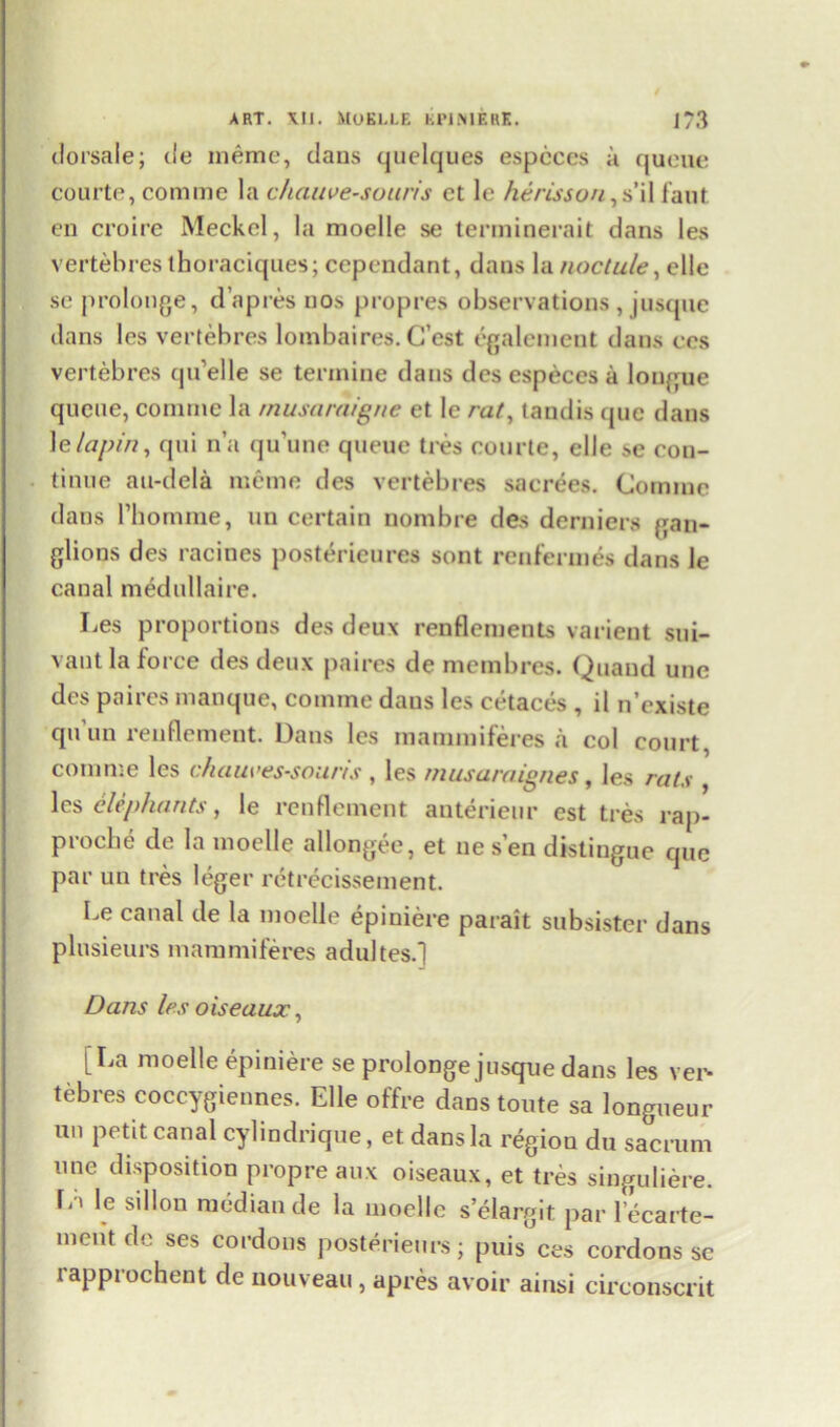 dorsale; de memo, dans quelques especes a queue courte, comme la chauve-souris et le herisson,s’il faut en croire Meckel, la moelle se tenninerait dans les vertebres thoraciques; cependant, dans la noclule, elle se prolonge, d’apres nos propres observations , jusque clans les vertebres lombaires. C’est egalemcnt dans ces vertebres qu’elle se termine dans des cspeces a longue queue, comme la rnusciraigne et le rat, tandis quc dans 1 e/apin, qui n’a qu’une queue tres courte, elle se con- tinue au-dela meme des vertebres sacrees. Comine dans riiornine, un certain nombre des derniers gan- glions des racines post&ieures sont renfermes dans le canal medullaire. Les proportions des deux renllcments varient sui- vant la force des deux paires de raembres. Quaud une des paires manque, comme dans les cetaces , il n’existe qu un reuflement. Dans les mammiferes a col court, comme les chauves-souris , les musaraignes, les rats , les elephants, le reuflement anterieur est tres rap- procbe de la moelle allongee, et ne sen distingue quc par un tres leger retrecissement. Le canal de la moelle epiniere parait subsister dans plusieurs mammiferes adultes.] Dans les oiseaux, [La moelle epiniere se prolonge jusque dans les ver- tebres coccygiennes. Elle offre dans toute sa longueur un petit canal cylindrique, et dans la region du sacrum une disposition propre au.x oiseaux, et tres singuliere. li' le silion median de la moelle s’elargit par l ecarte- meut de ses cordons posterieurs; puis ces cordons se tapprochent de nouveau, apres avoir ainsi circonscrit