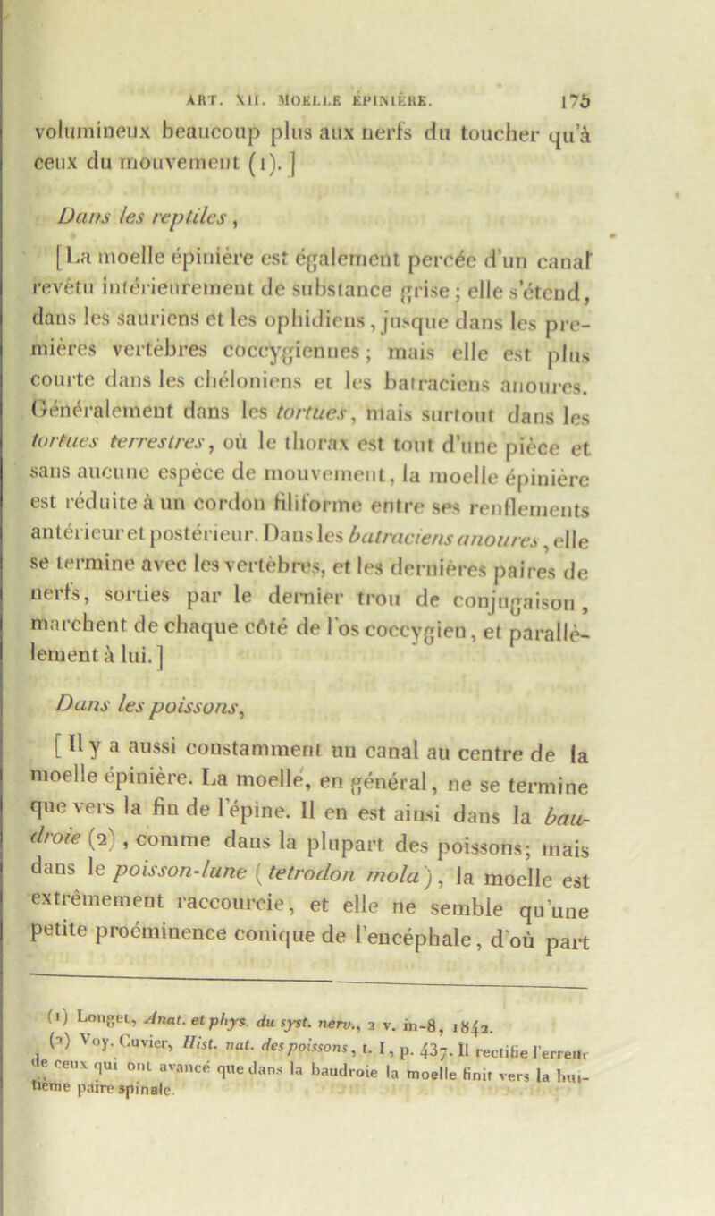 volumineux beaucoup plus aux nerfs du toucher qu’& ceux du mtmvement (i). ] Dans les reptiles, [La moelle epiuiere est egalemerlt perc^e d’un canal reVetu iuterienrement de substance grise; ellesetend, dans les sauriens et les opbidiens, jusque dans les pre- mieres vertebres coceygiennes; mais elle est plus courte dans les cheloniens et les batraciens anoures. Generaloment dans les tortues, mais surtout dans les lorHies terrestres, oil le thorax est tout dune piece et sans aucune espece de mouvement, la moelle epiuiere est reduiteaun cordon HIiforme entre ses renflements anterieuret posterieur. Dans les batraciens anoures , elle se termine avec les vertebres, et les dernieres paires de nerfs, sorties par le dernier trou de conjngaison , marchent de ebaque ebte de loscoccygien, et paralle- lement a lui. ] Dans les poissons, [ lly a aussi constammerit un canal au centre de la moelle epiuiere. La moelle, en general, ne se termine que vers la fin de lepine. 11 en est aiusi dans la bau- droie (a), comrae dans la plupart des poissons; mais dans le poisson-lune (tetrodon mola ) , la moelle est extremement raccoureie, et elle ne semble qu’une petite proeminence conique de l’encephale, d'ou part (i) Lon^et, Anat.etphys du syst. nerv., 2 v. in-8, 1843. ( 0 Voy. Cuvier, Hist. nut. des poissons, t. I, p. 437. H reclitie I'erreui *te ceux qu. o,u avance que dans la baudroie la moelle finir vers la neme paire spin ale.