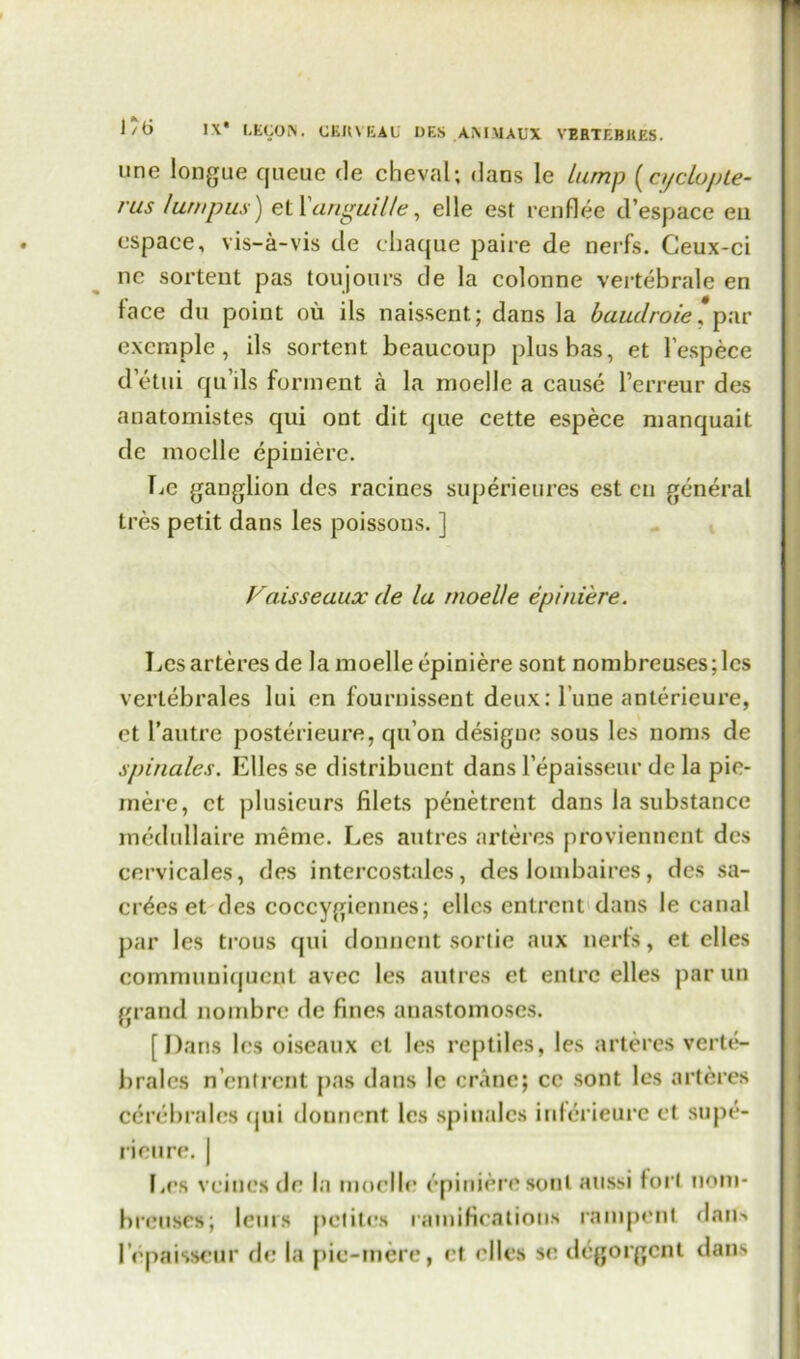 une longue queue de cheval; dans le lump (ctjclopte- rus lumpus) et Xanguille, elle est renflee d’espace eu espace, vis-a-vis de chaque paire de nerfs. Ceux-ci nc sortent pas toujours de la colonne vertebrale en lace du point ou ils naissent; dans la baudroie, par excmple, ils sortent beaucoup plusbas, et l’espece d etui qu’ils forment a la moelle a cause l’erreur des anatomistes qui ont dit que cette espece manquait de moelle epiuiere. Ee ganglion des racines superieures est eu general tres petit dans les poissons. ] Vaisseauxde la moelle epiuiere. Lesarteres de la moelle epiniere sont nombreuses;les vertebrales lui en fournissent deux: lime anterieure, et l’autre posterieure, qu’on desigue sous les noms de spinales. Elies se distribuent dans l’epaisseur de la pio- inere, et plusieurs filets penetrent dans la substance rnedullaire meme. Ijes autres arteres proviennent des cervicales, des intercostales, des lombaires, des sa- cr^es et des coccygiennes; ellcs cntrcnt dans le canal par les trous qui donnent sorlie aux neris, et elles commuuiqueut avec les autres et entrc elles parun grand nombrc de fines anastomoses. [Dans les oiseaux et les reptiles, les arteres verte- brales n’entrent pas dans le crane; cc sont les arteres ccrebrales qui donnent les spinales inlerieure et supe- rieure. | J.rs veiuesde la moelle epiniere sont aussi fori nom- breuses; leurs petites ramifications rampent daiiN lepaisseur de la pic-mere, ct dies se degorgeni dans