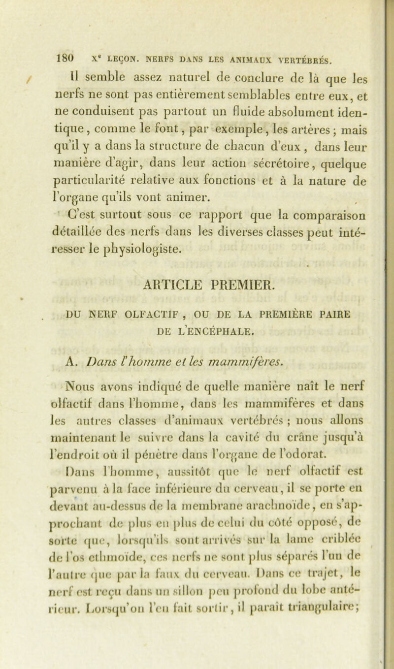 11 semble assez naturel de conclure de la que les nerfs ne sont pas entierement semblables enfre eux, et ne conduisent pas partout un fluide absolument iden- tique, comme le font, pai* exemple, les arteres; mais qu’il y a dans la structure de chacun d’eux , dans leur maniere d’agir, dans leur action secretaire, quelque particularity relative aux fonctions et a la nature de l’organe qu’ils vont anirner. G’est surtout sous ce rapport que la comparaison detaillee des nerfs dans les diverses classes peut inte- resser le physio logiste. ARTICLE PREMIER. DU NERF OLFACTIF , OU DE LA PREMIERE PAIRE DE L’ENCEPHALE. A. Dans Ihomme el les mammiferes. Nous avons indiqu6 de quelle maniere nait le nerf olfactif dans l’homme, dans les mammiferes et dans les autres classes d’animaux vertebrcs ; nous allons maintenant le suivre dans la cavitc du crane jusqu’a l’endroit on il penctre dans l’organe de l’odorat. Dans Ihomme, aussildt que le nerf olfactif cst parvenu ii la face inferieure du cerveau, il sc porte en devant au-dessus de la membrane arachnoide, en s’ap- prochant de plus en plus decelui du cdte oppose, de sorte quo, lorsqu’ils sont arrives stir la lame criblee de l’os ctlunoide, res nerfs ne sont plus separes 1 un dc l’aulre (juc par la faux du cerveau. Dans ce trajet, le nerf cst re5U dans un sillon pen profond du lobe ante- rieur. Lorsqu’on l eu fait sorlir, il parait triangulaire;