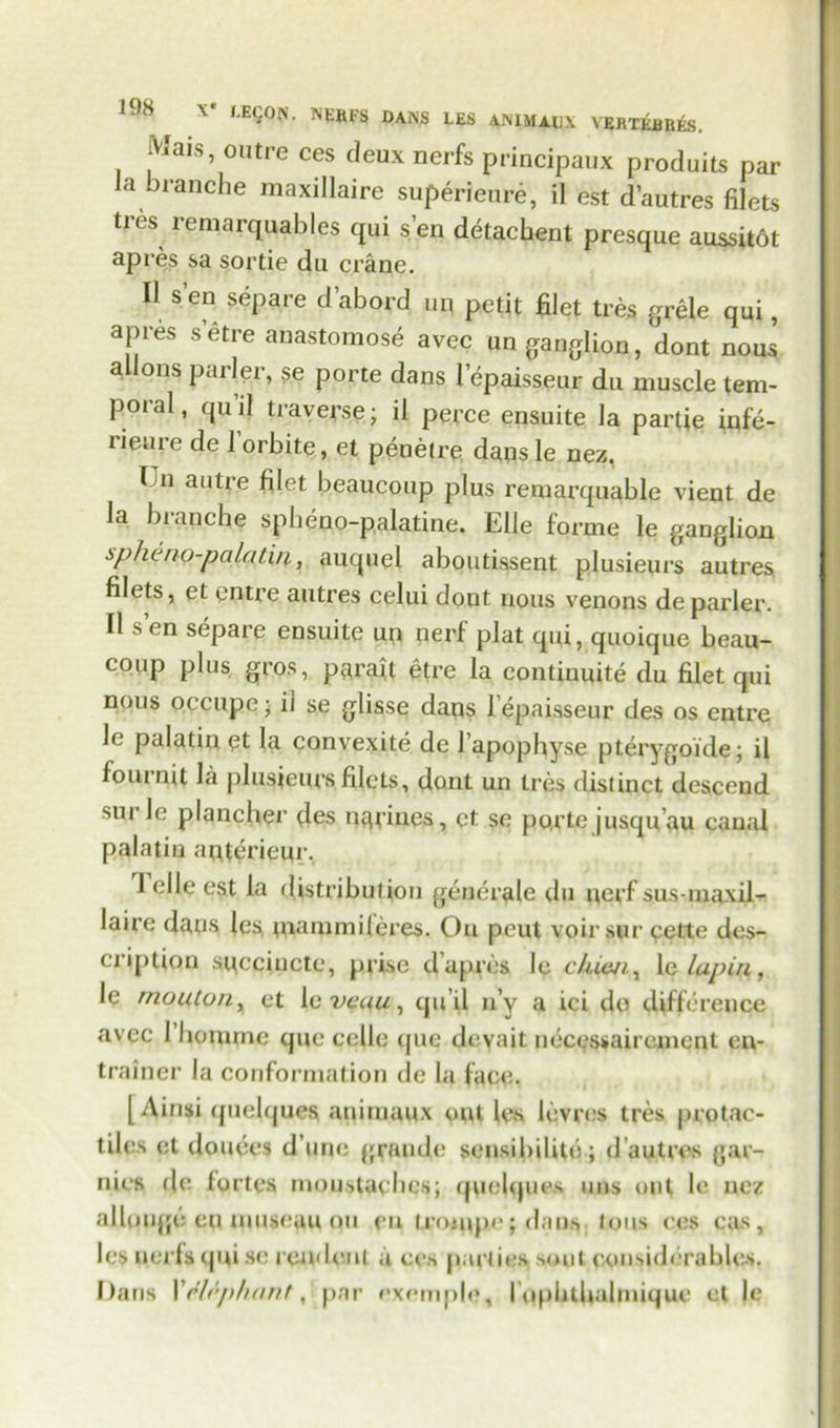 Mais, outre ces deux nerfs principaux produits par la branche maxillaire superieure, il est d’autres filets tres remarquables qui sen detachent presque aussit6t apres sa sortie du crane. II sen separe d’abord 1111 petit filet tres grele qui, apres s etre anastomose avec un ganglion, dont nous allons parler, se porte dans lepaisseur du muscle tem- poral, quil traverse; il perce ensuite la partie infe- rieure de 1 orbite, et penetre dans le nez. I n autre filet beaucoup plus remarquable vient de la bianche spheno-palatine. EUe forme le ganglion spheno-palatiii, auquel aboutissent plusieurs autres filets, et entre autres celui dont nous venons de parler. Il sen separe ensuite un nerf plat qui, quoique beau- coup plus gros, parait etre la continuite du filet qui nous oecupe; ii se glisse daps l epaisseur des os entre le palatin et la convexite de l apophyse pterygoide; il fournit la plusieurs filets, dont un tres distinct descend surle plancher des nadnes, ct se porte jusqu’au canal palatin apterieur. 1 elie est la distribution geuerale du perf sus-maxil- laire daps les mammiferes. On peut voirsur cette des- cription spccinctc, prise d’apros Ic ckicn, 1 c lupin, le rnouton, ct le veuu, qu’il u’y a ici do difference avcc I bomrne quo cello quc devait necessairemenl en- trainer la conformation de la face. [Ainsi quehjues animaux out les levres tres protac- tilcs et donees d une grande sensibilito; d autres gar- nies de fortes moustaches; quehjues uns out le nez allonge cu uuiseau on eu Iroiiqie; dans tons ces cas , les nerfs qui se roudeut a ces jiarties soul considerables. Dans Xelephant y |>nr exemplo, lophthalmique et le