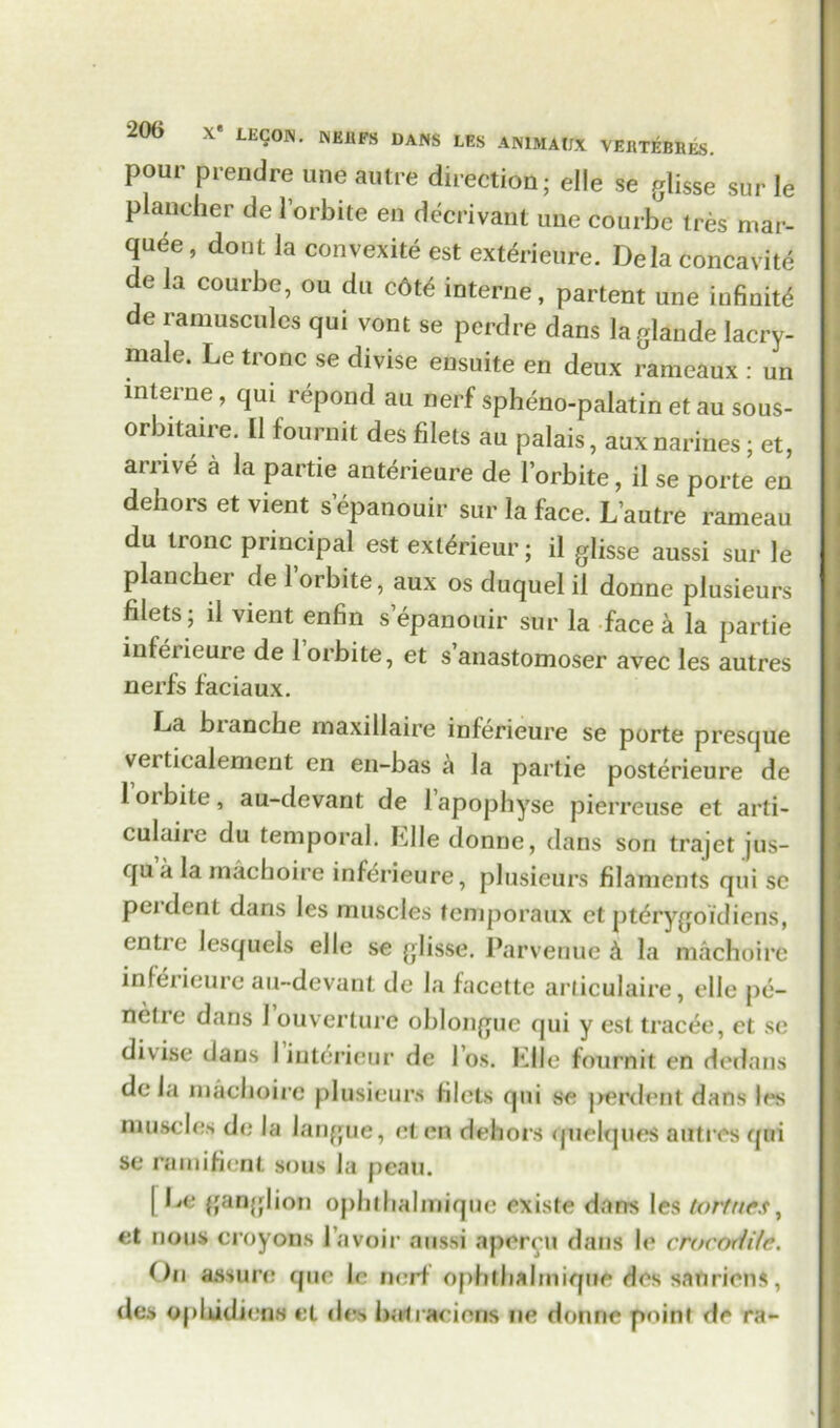 pour prendre une autre direction; elle se glisse suf le piancher de l’orbite en decrivant une courbe tres mar- quee , dont la convexite est exterieure. Dela concavite de la courbe, ou du cdt<$ interne, partent une infinite de ramuscules qui vont se perdre dans laglande lacry- male. Le tronc se divise ensuite en deux rameaux : un interne, qui repond au nerf spheno-palatin et au sous- orbitaire. II fournit des filets au palais, auxnarines; et, arrive a la partie anterieure de I’orbite, il se porte en dehors et vient s epanouir sur la face. Lautre rameau du tronc principal est ext&ieur; il glisse aussi sur le piancher de 1 orbite, aux os duquel il donne plusieurs filets; il vient enfin s epanouir sur la face a la partie inferieure de l’orbite, et s’anastomoser avec les autres nerfs faciaux. La bianche inaxillaire inferieure se porte prescjue verticalement en en-bas a la partie posterieure de loibite, au-devant de lapophyse pierreuse et arti- culaiie du temporal. Llle donne, dans son trajet jus- qua la machoire inferieure, plusieurs filaments qui se pei dent dans les muscles femporaux et pterygoidiens, entre lesquels elle se glisse. Parvenue A la machoire inferieure au-devant de la facette articulaire, elle pe- nelre dans 1 ouverture oblonguc qui y est tracee, et se divise dans I interieur de 1’os. Kile fournit en dedans dela machoire plusieurs filets qui se jrerdent dans les muscles de la langue, eten dehors quelques autres qui se ramificnt sous la peau. I ganglion ophthalnrique existe dans les tort ties, et nous croyons 1’avoir aussi apereu dans le crocodiie. On assure quo le nerf ophfhalmiqne des sanriens, des opludiens et des balraeiens lie donne point de ra-