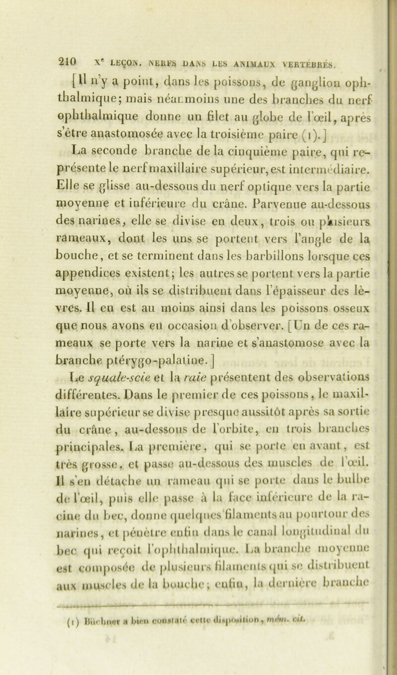 [11 n’y a point, dans les poissons, de ganglion opii- thalmique; mais neatimoius une des branches du nerf ophthalmique donne un filet au globe de Toeil,apres setre anastomosee avec la troisieme paire (i).J La seconde brancbe de la cinquieme paire, qni re- presente le nerf maxillaire superieur, est intermediaire. Elle se glisse au-dessous dn nerf optique vers la partie moyenne et inferieure du crane. Parvenue au-dessous desnarines, elle se divise en deux, trois on pVisieurs raineaux, dont les uns se portent vers Tangle de la bouche, et se terniinent dans les barbillons lorsque ces appendices existent; les autresse portent vers la partie moyenne, ou ils se dislribneut dans Tepaisseur des le- vres. 11 en est au moins ainsi dans les poissons osseux que nous avons eu occasion d observer. [Un de ces ra- meaux se porte vers la narine et s’anastomose avec la brancbe pterygo-palaiine. ] Le squale-scie et la raie presentent des observations differentes. Dans le premier de ces poissons, le maxil- laire superieur se divise presquc aussitot apres sa sortie du crane, au-dessous de lorbite, en trois brandies principales. La premiere, qui se porte enavant, est tres grosse. et passe au-dessous des muscles de Toed. 11 sen detacbe un rameau qui se porte dans le bulbe de I’oeil, puis elle passe a la face inferieure de la ra- eine du bee, donne quelques fiJamentsau pourtour des narines, et peuelre enfiu dans le canal longitudinal du bee qui recoit Tophthalmiquc. La brancbe moyenne est composite de plusieurs filaments qui se distribuent aux muscles de la bouebe; enfiu, la derniere brancbe (i) Biicbn«r a bien conmair cetic <L*po#ition, miftu. cil.