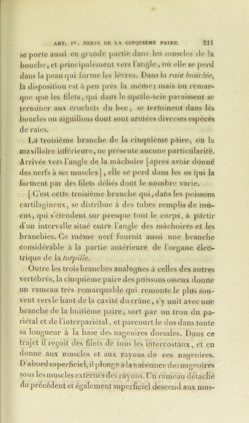 se porte aussi en grande partie dons les muscles ile !a bouche,et principalement vers Tangle. oil elle se peril dans la peauqui forme les levi es. Dans la rule bouc/cr, la disposition cst a pen pres la memo; mais on remar- que cpie les filets, qui dans le squale-seie paraissent sc terminer aux crochets du bee, se terminent dans les boucles on aiguilions dont sont armees diverses especes de raies. La troisieme branebe de la cinqnieme paire, on la maxillaire inferieure, ne presente auenne particularity. Arrivee vers Tangle de la inachoire [apivs avoir doling des nerfs a ses muscles |, die se perd dans les os qui la ferment par ties filets defies dont le nombre varie. [ C’est cette troisieme Tranche qui,dans les poissons cartilagineux, se distribue a des tubes remplis de mu- cus, qui s’etendent snr presque tout le corps, a partir d un intervalle situe enlre Tangle des machoires et les branebies. Ge meme nerf tonrnit aussi une Tranche considerable a la partie anlerieure de 1’orgaue elec- trique de la torpille. Outre les trois branches analogues a cedes des autres vertebres, la ciuquieme paire des poissons osseux donne un rameau tres remarquable qui remonte le plus sou- veut versle bant de la cavite du crane, sy unit avec une brauche de la buitieme paire, sort par un trou du pa- rietal et de Tinterparietal, et parcourt le dos dans toute sa longueur a la base des nageoires dorsales. Dans ce trajet il recoit des filets de tons les intercostaux, et en donne aux muscles ct aux rayons de ees nageoires. D abord superfieiel, il plonge a la naissance des nageoires sous les muscles externes des rayons. Un rameau detache du precedent et egalement superfieiel descend aux mus-