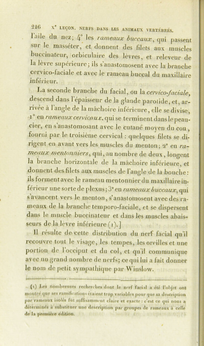 laile du nez; 4° les rameaux buccaux, qui passent sue le masseter, et donnent des filets aux muscles buccinateur, orbiculaire des levres, et releveur de la levre superieure; ils s’anastomosent avec la branche cervico-faciale et avec le ranieau buccal du maxillalre infe rieur. La seconde branche du facial, ou la cervico-faciale, descend dans 1 epaisseur de la glande parotide, et, ar- livee a 1 ang le de la machoire inferieure, elle se divise, i en / ameaux cetvicpux, cjui se terminenldanslepeau- ciei, en s anastomosant avec le cutane moyen du cou , fourni par le troisieme cervical: quclques filets se di- riment en avant vers les muscles du menton; 2° en ra- meaux rnentoniuers, qui, au nombre de deux, longent la branche horizontal de la machoire inferieure, et donnent des filets aux muscles de Tangle de la bouebe : ils formentavec le rameau mentonnierdu maxillairein- ferieur une sorte de plexus; 3° en rumeaux buccaux, qui savancent vers le menton, s’anastomosent avec des ra- meaux de la branche temporo-faciale, et se dispersent dans le muscle buccinateur et dans les muscles abais- seurs de la levre inferieure (i).] 11 results de cette distribution du nerf facial qu’il recouvre tout le visage, les tempes, les oreilles et une portion de 1 occiput et du col, et qu’il communique avec uu grand nombre de nerfs; cequi lui a fait donner le nom de petit sympalhique par Winslow. (t) J,es nombrenses rechrn lrei dont In nerf facial a cte I’olijn ont montre <|uc ses ramifications ctaient trop variables pour <jun sa description par rameaux isoles flit suffixamirirnt elairc et exartn : e'est ce qui nous a (Inteimines a subutituor uric description jiar grotipes dc rameaux a cclle de la premiere edition.
